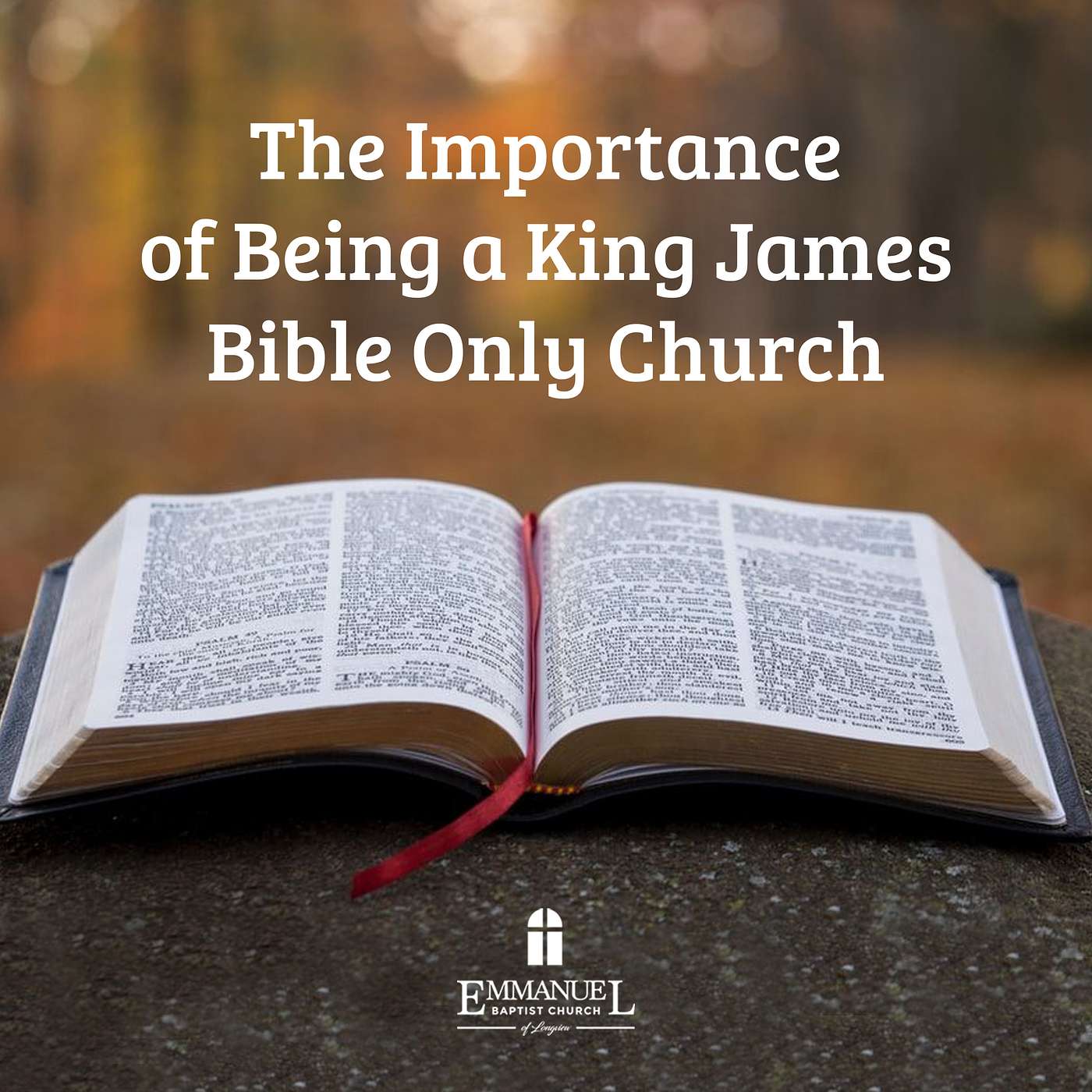 The Importance of Being A King James Only Church - Sunday PM 2/14/21 - Pastor Bob Gray II episode artwork
