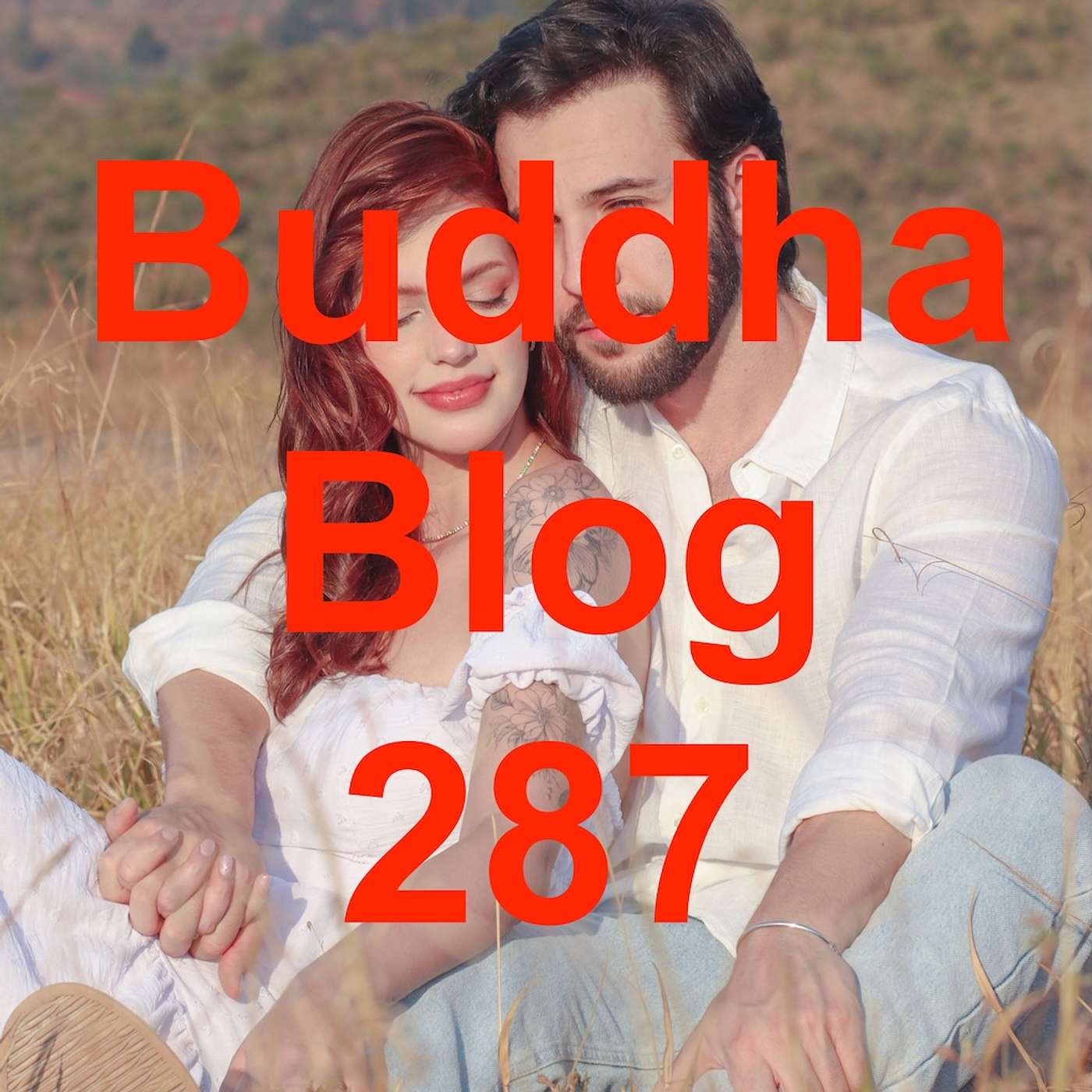 287-Entscheidung aus Liebe - Buddha Blog - Buddhismus im Alltag episode artwork