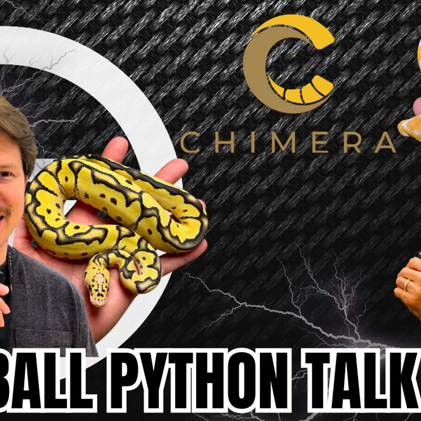 Having A Ball Python Business Partnership... Good or Bad Idea?