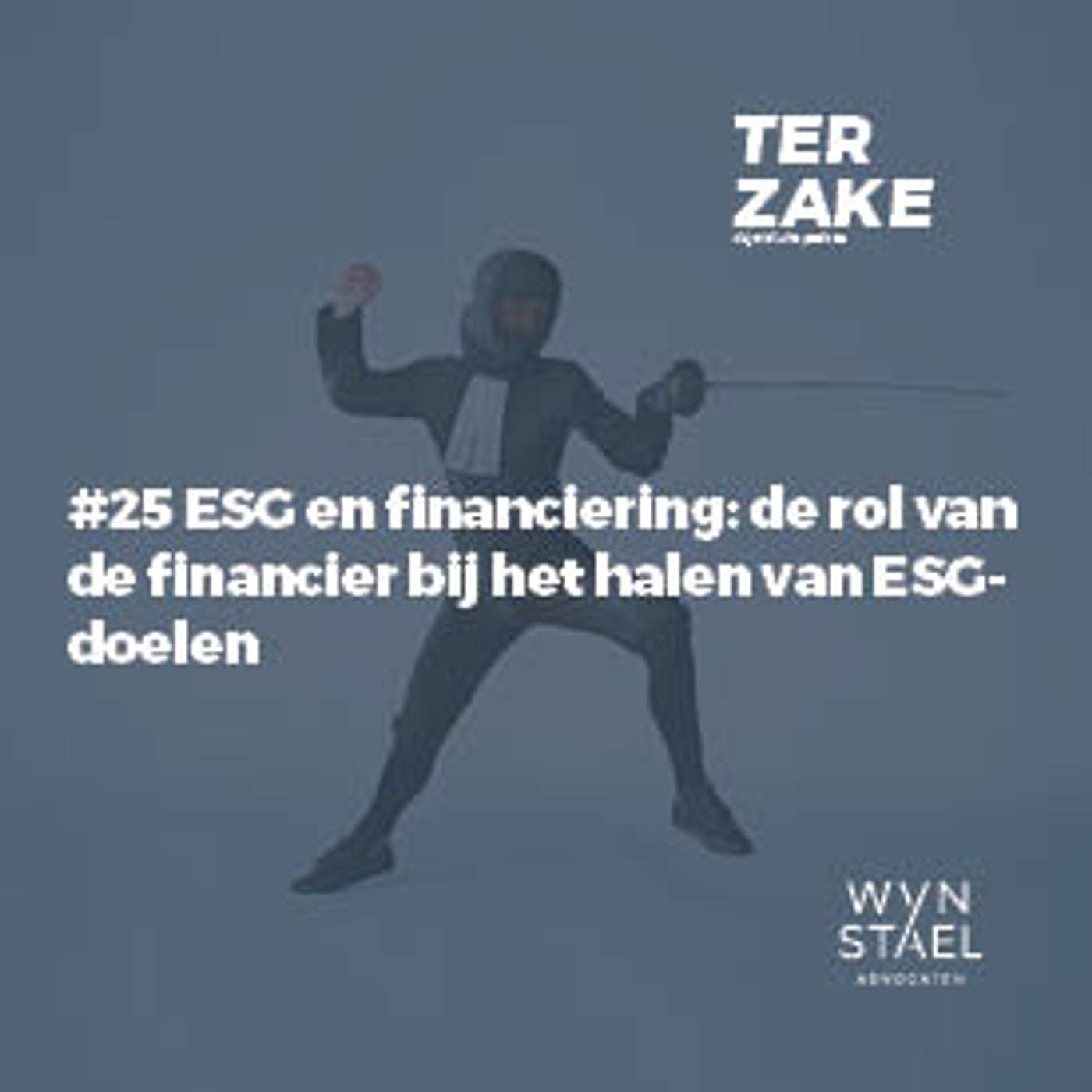 Ter zake