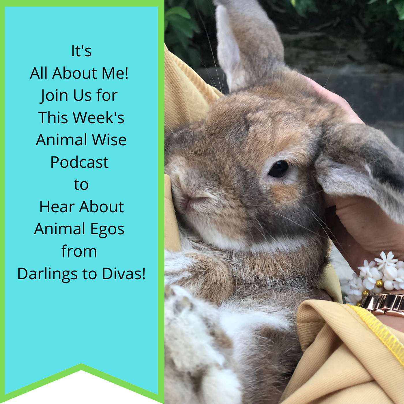 It's All About Me: Animal Egos