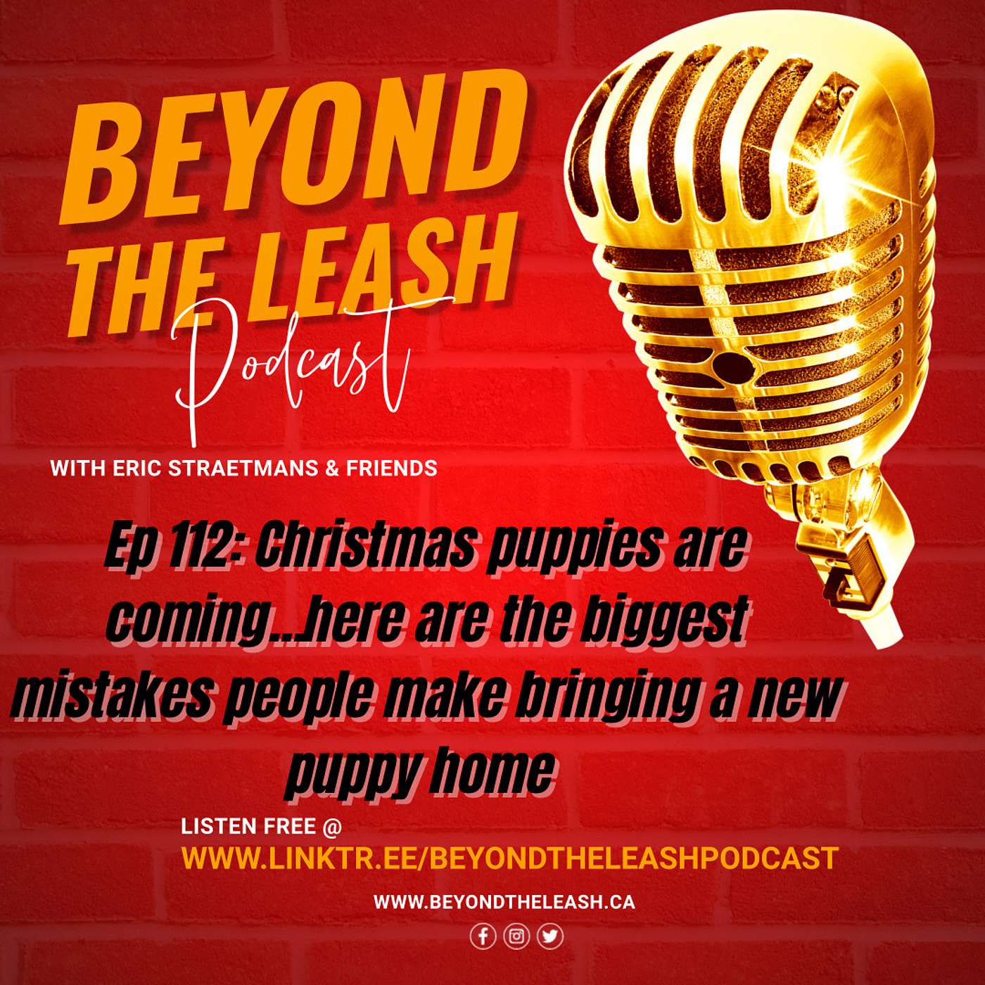 Ep 112: Christmas puppies are coming...here are the biggest mistakes people make bringing a new puppy home