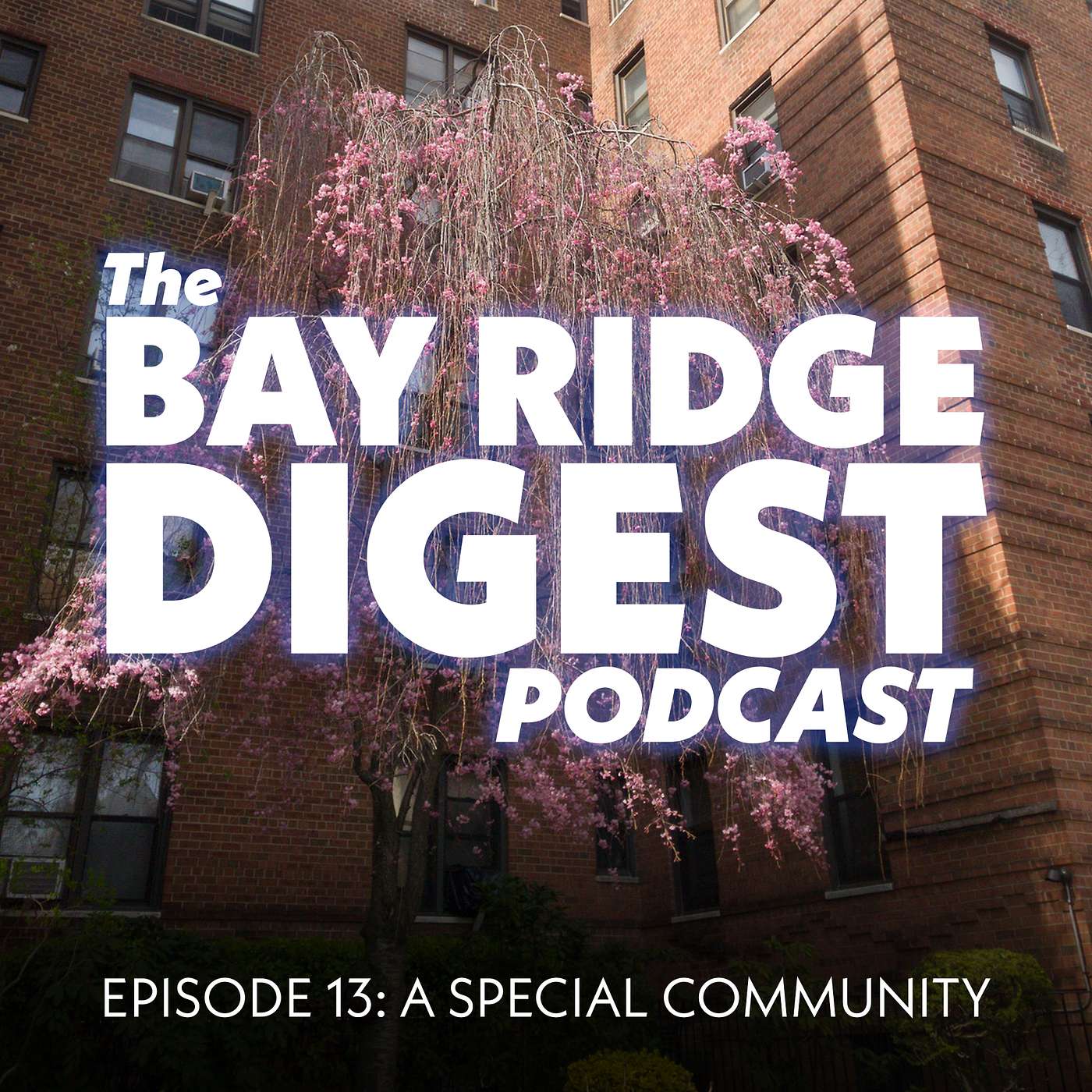 The Bay Ridge Digest