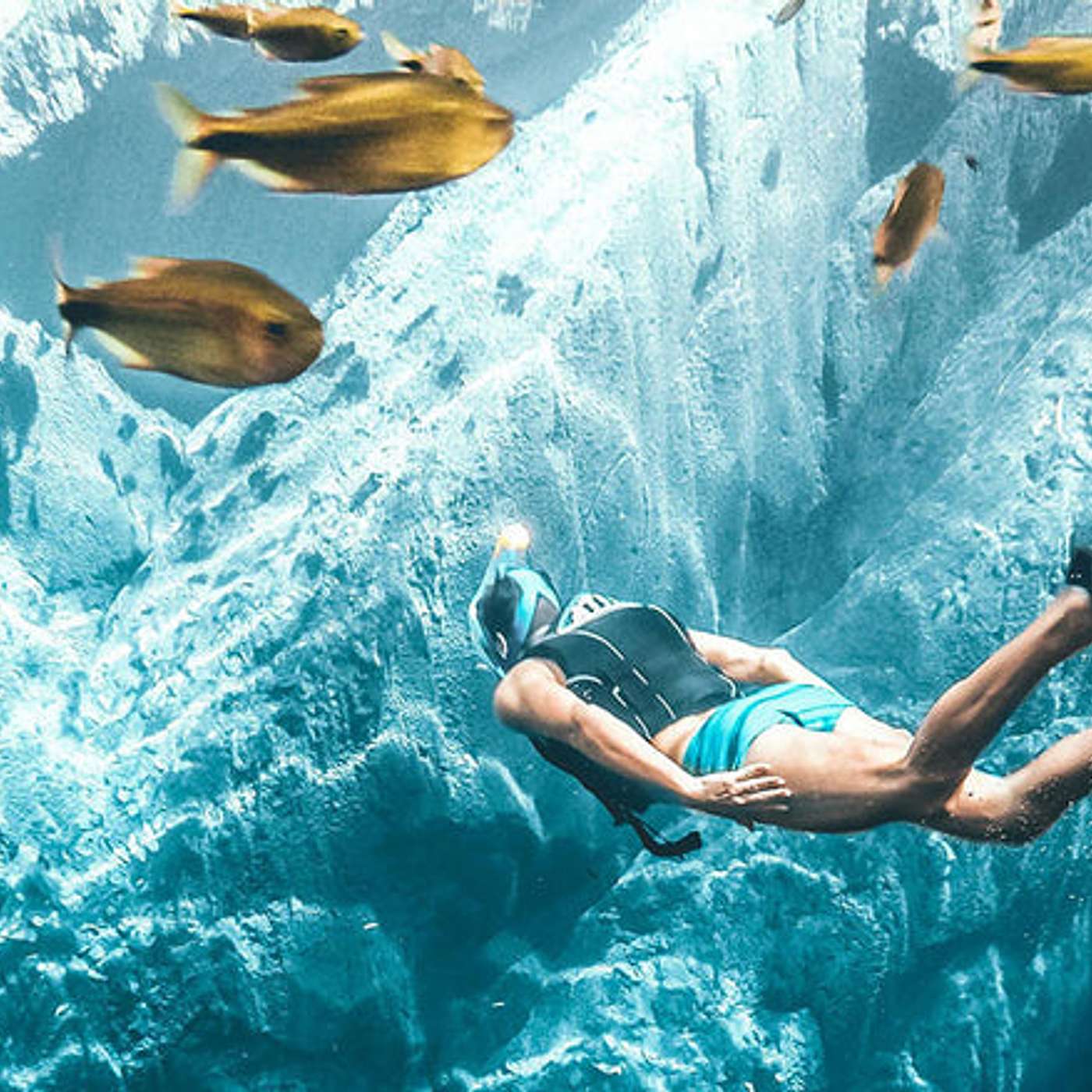 How to Choose a Full Face Snorkel Mask?