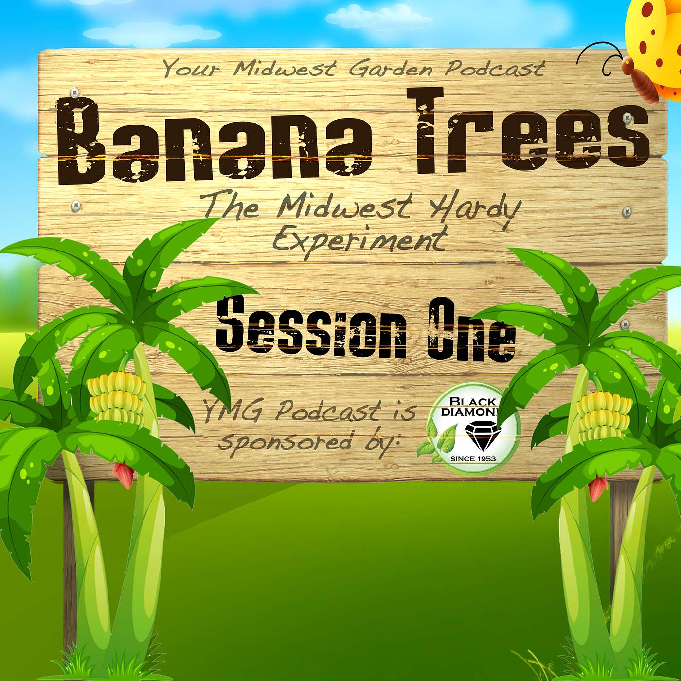 The Banana Tree Experiment - Session One