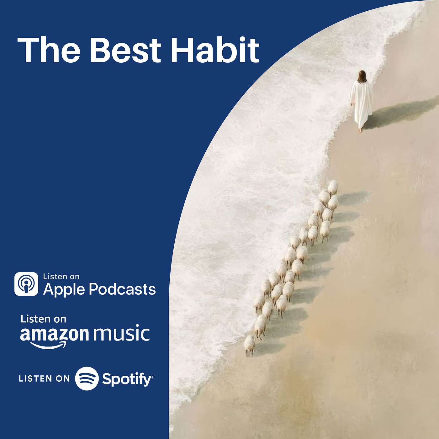 The Best Habit episode artwork