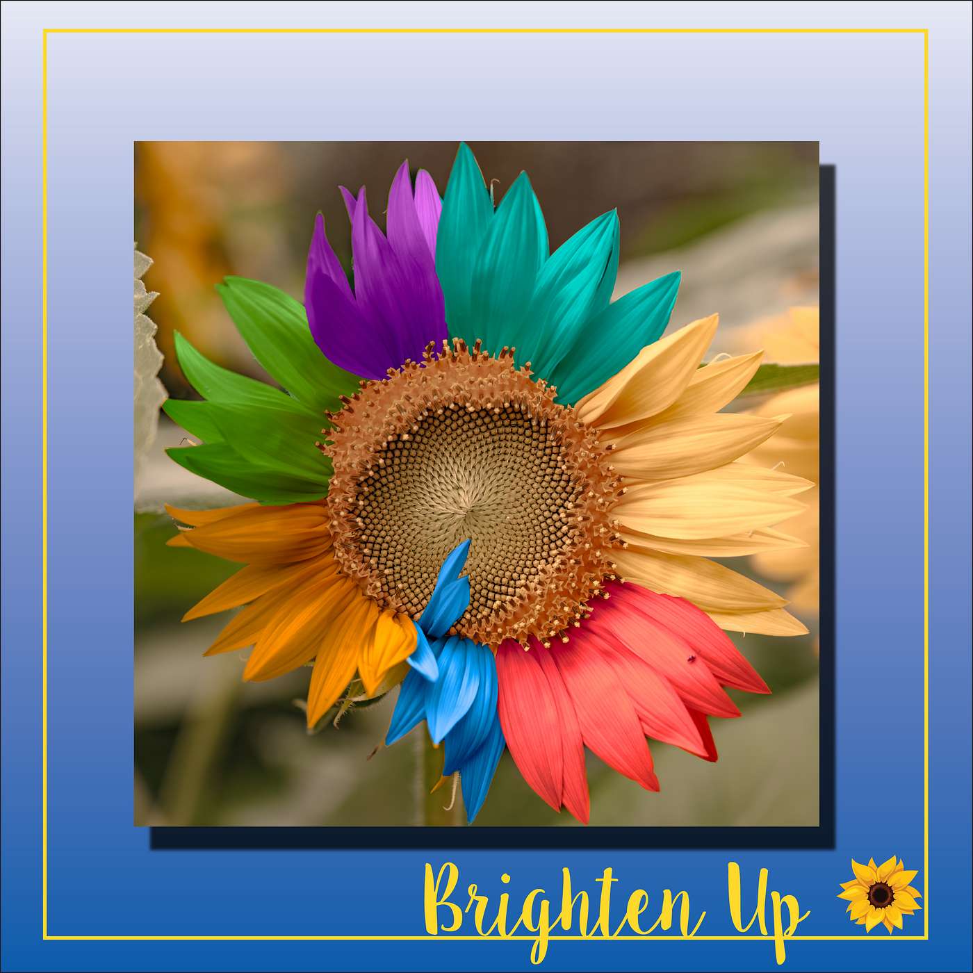 Brighten Up Podcast