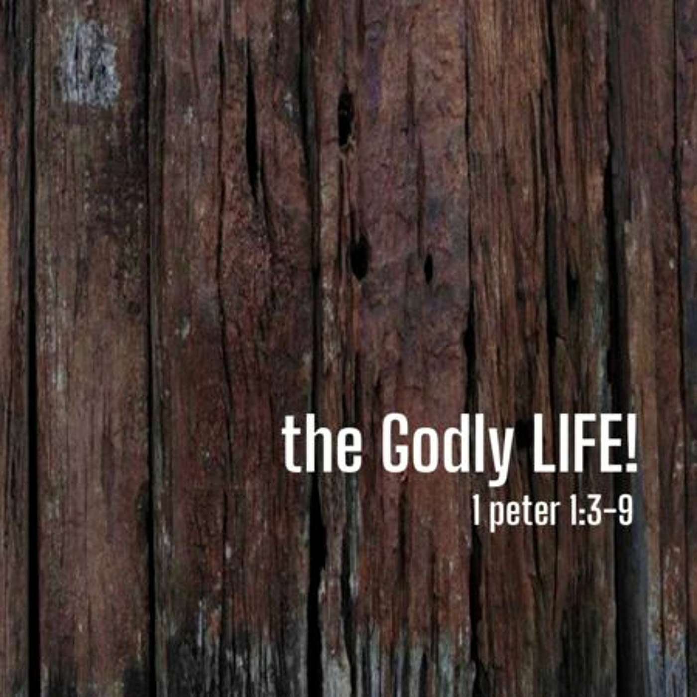 The Godly Life! | Lindsay Anderson | August 22 2021 episode artwork
