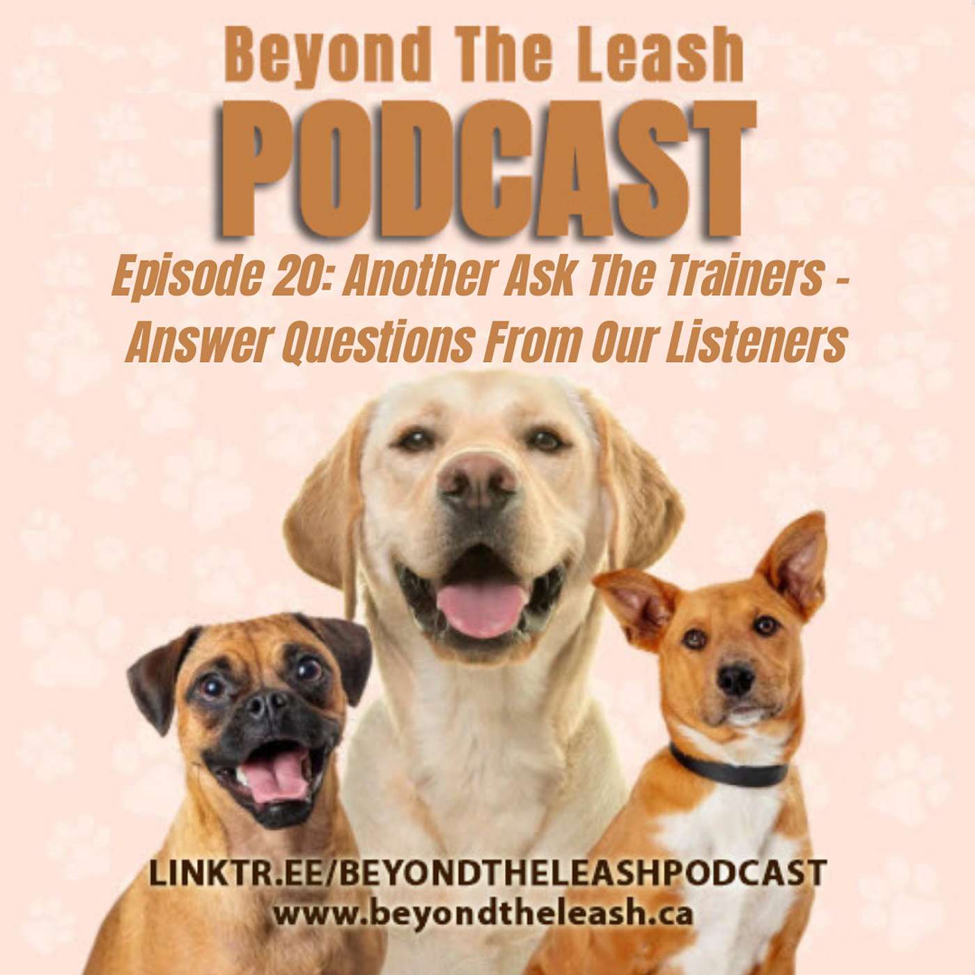 Episode 20: Another Ask The Trainers - We Answer Questions From Our Listeners