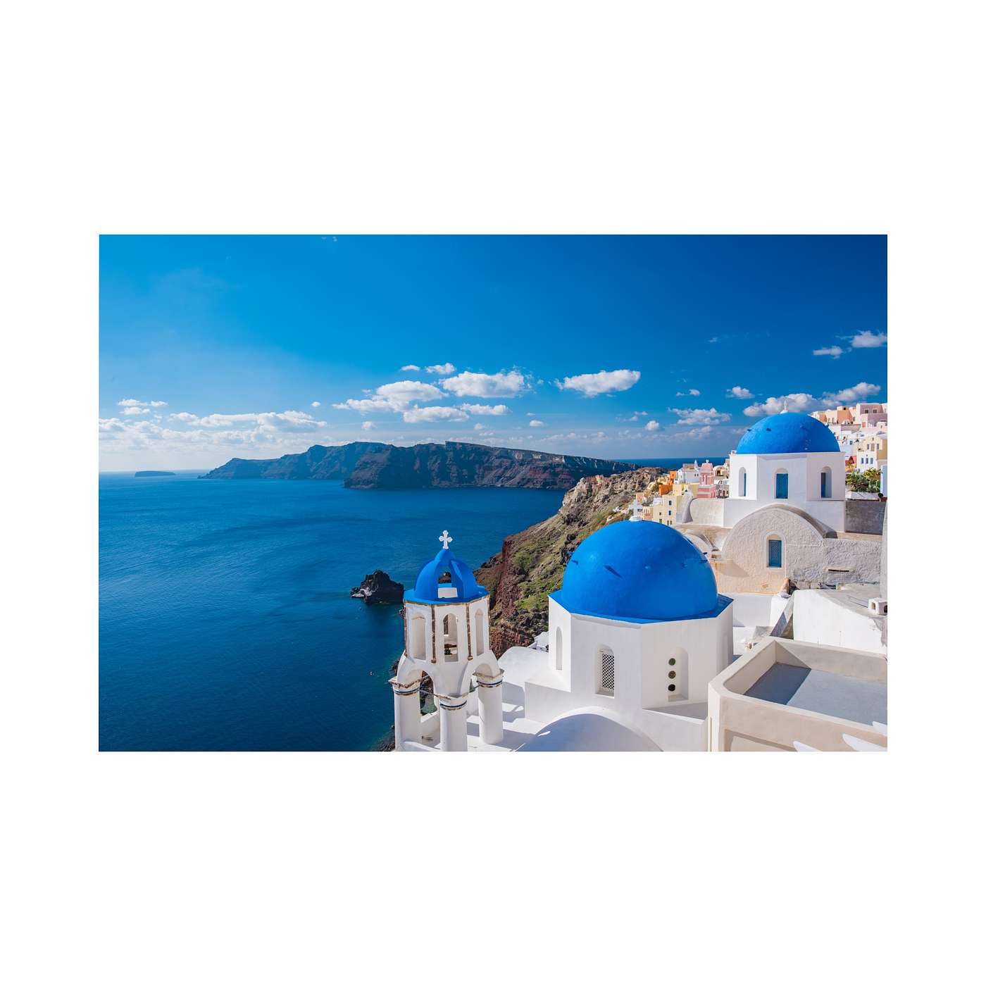 THE BACK UP PLAN! THE BACK UP PLAN!