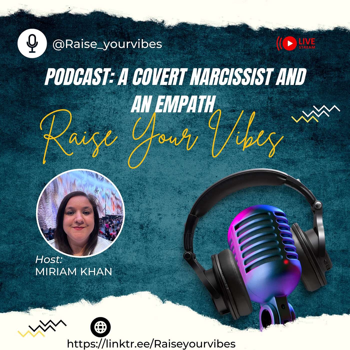 Raise Your Vibes Podcast