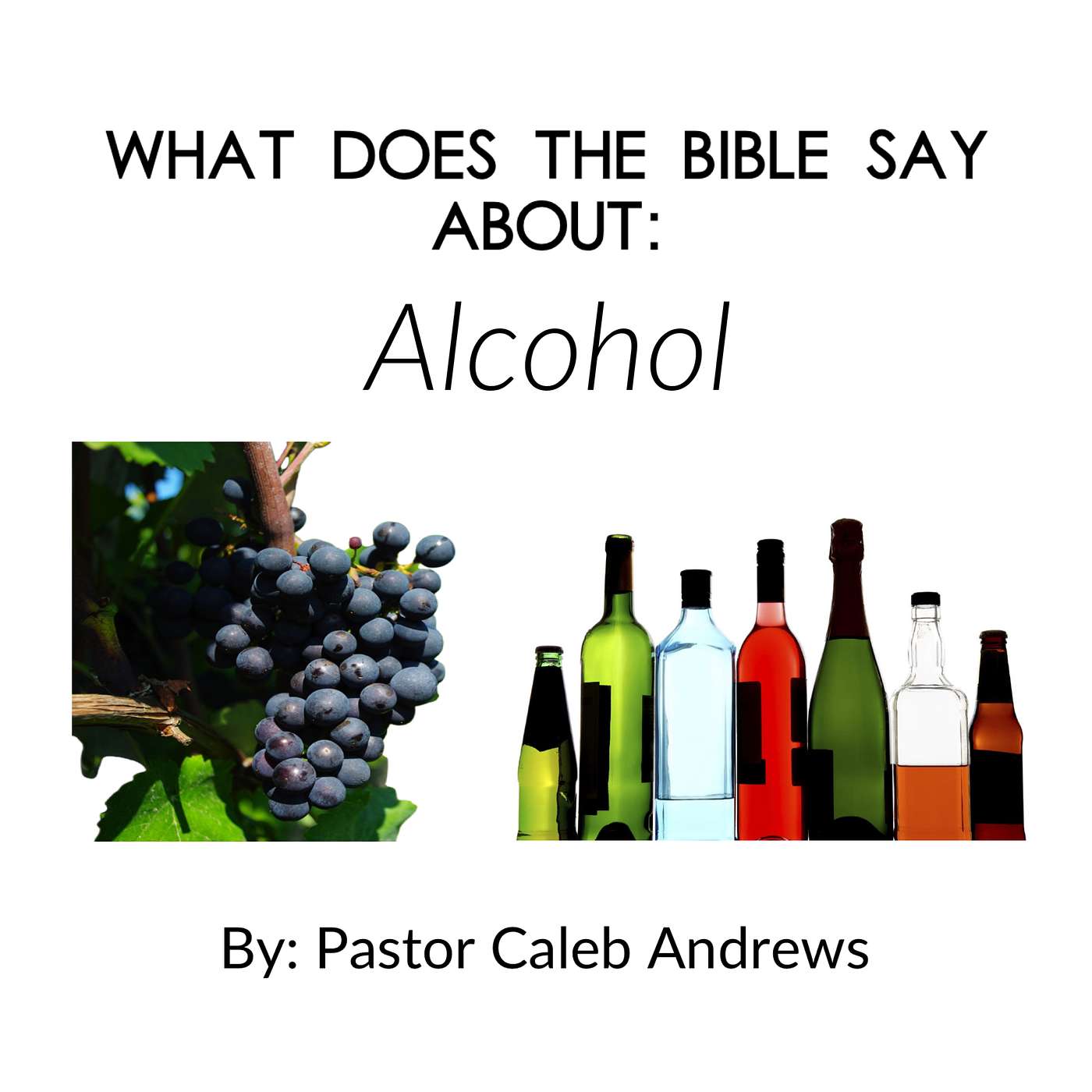 What Does the Bible Say About: Alcohol - Lesson 6