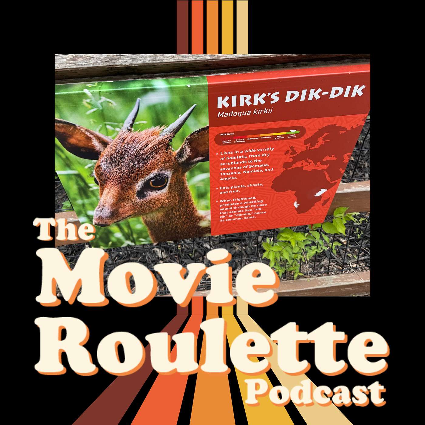 Out Of Context, Part 49 - Kirk's Dik-Dik