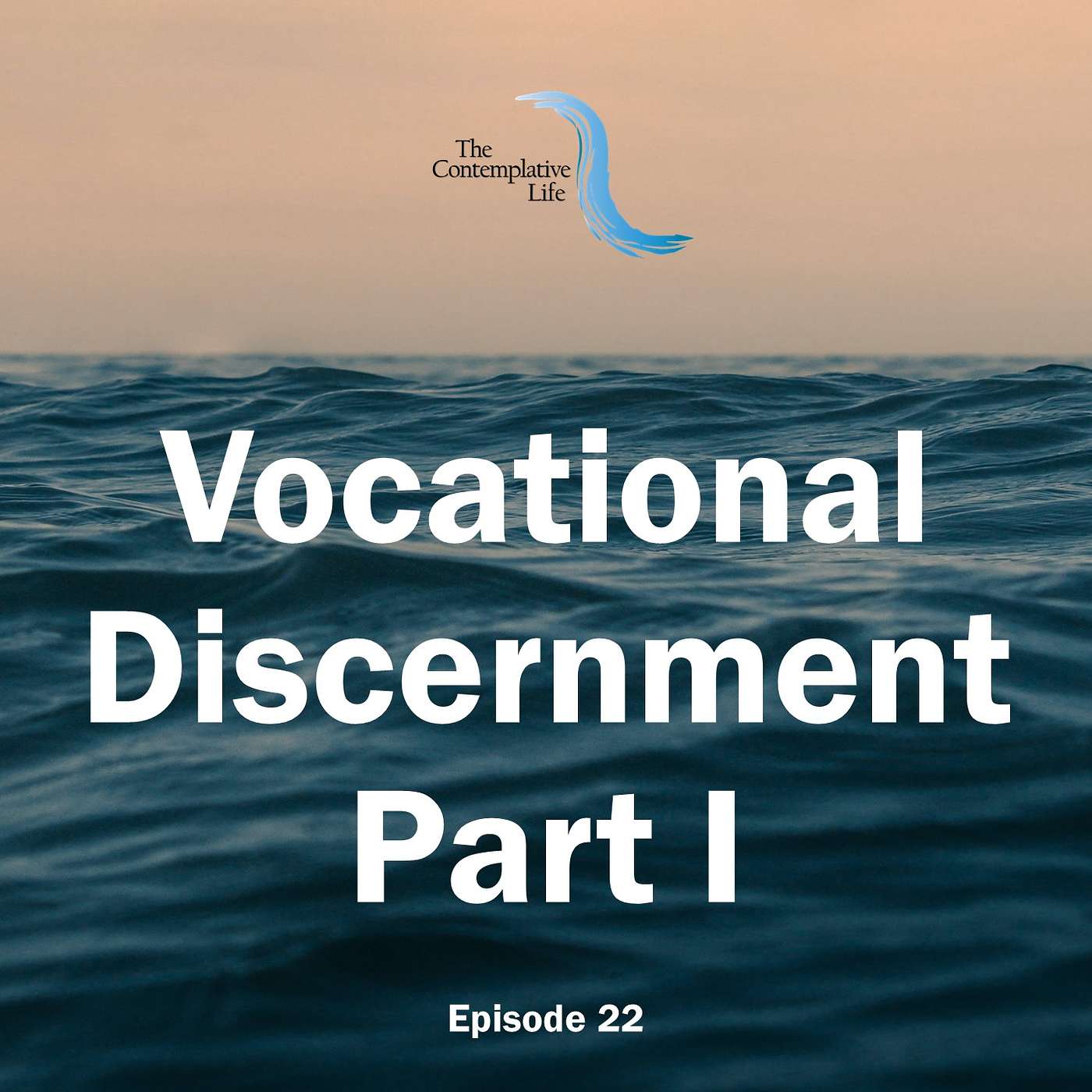 Ep 22 Vocational Discernment, Part I