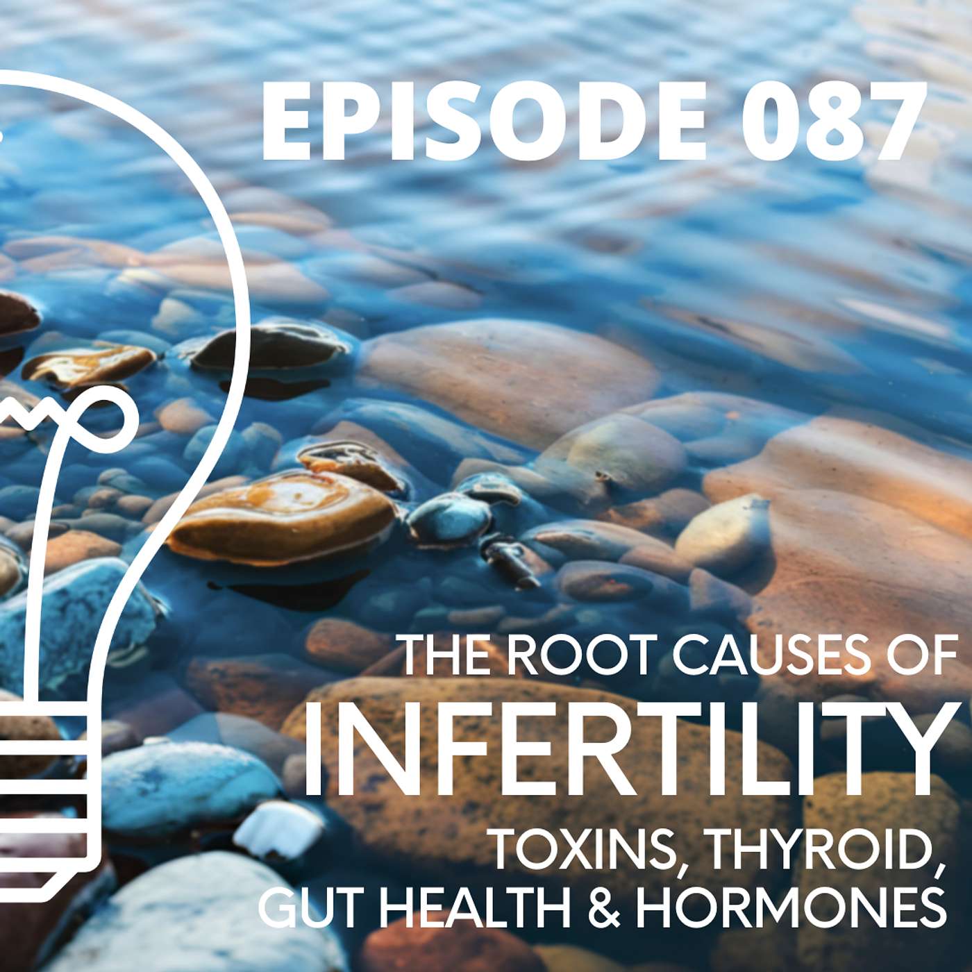 087 - Root Causes of Infertility: Toxins, Thyroid, Gut Health & Hormones episode artwork