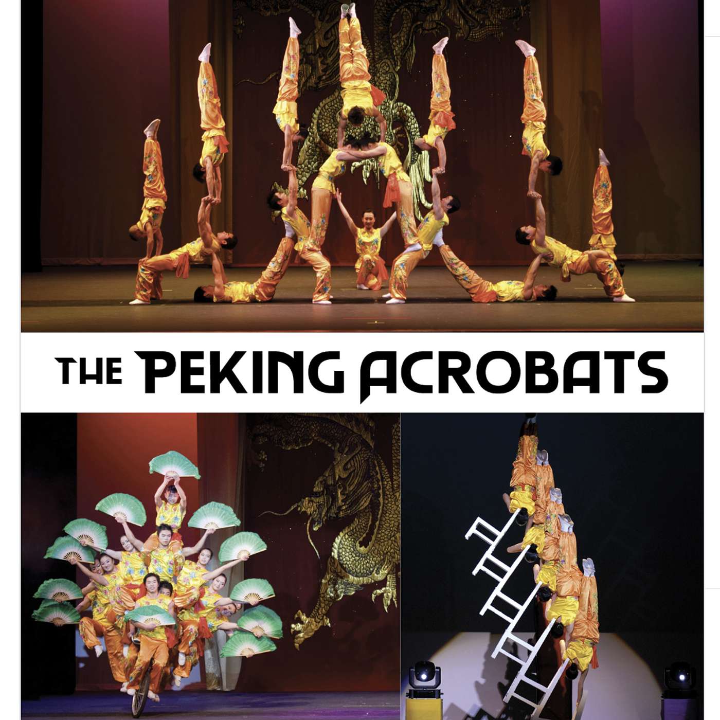 聊聊我周三看的杂技表演｜The Peking Acrobats Show