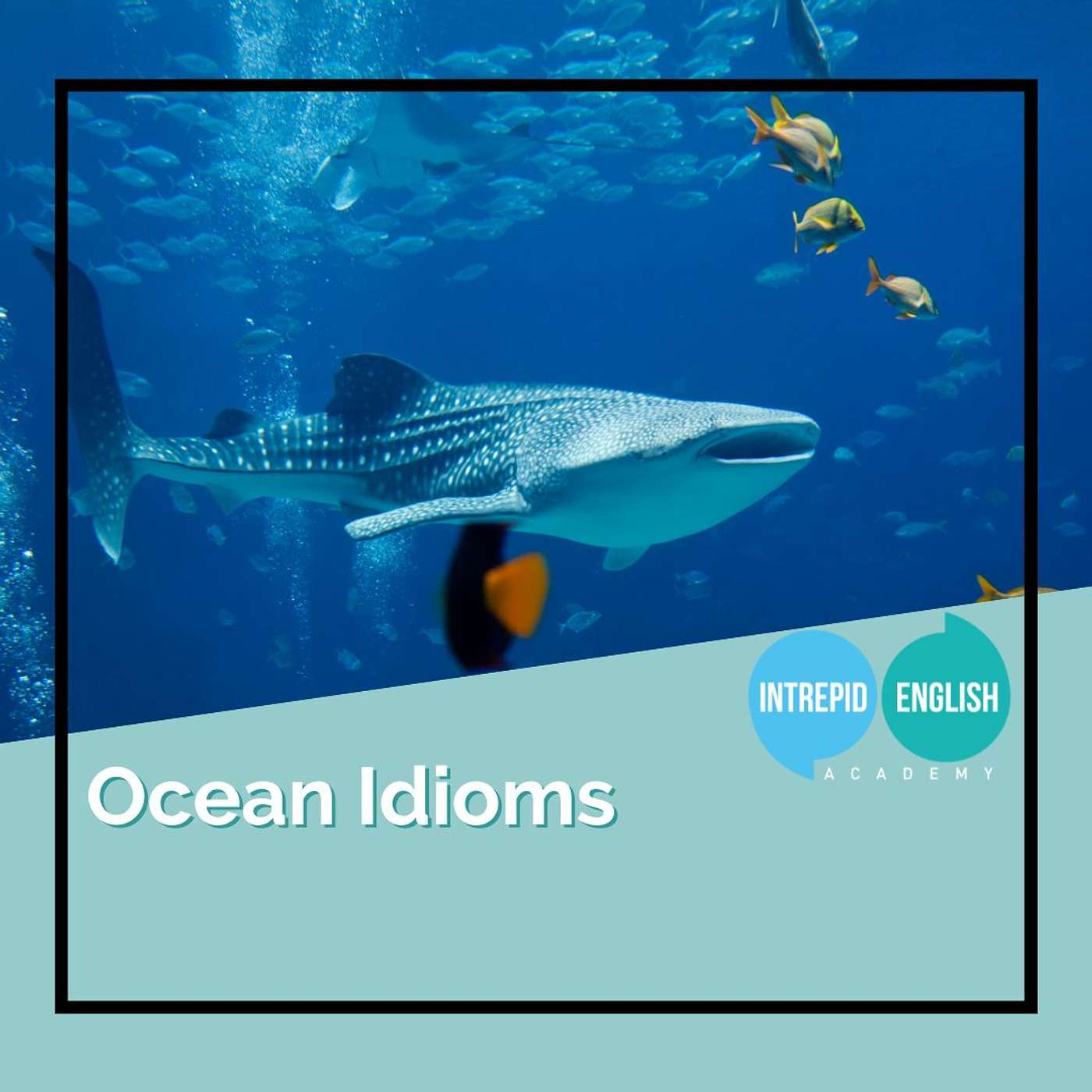 Ocean Idioms