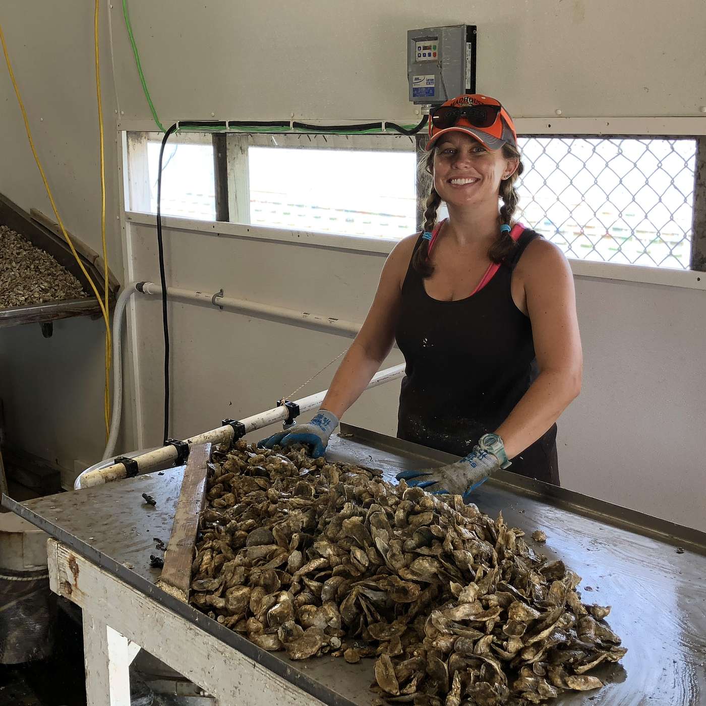 So You Want to Be a Marine Biologist