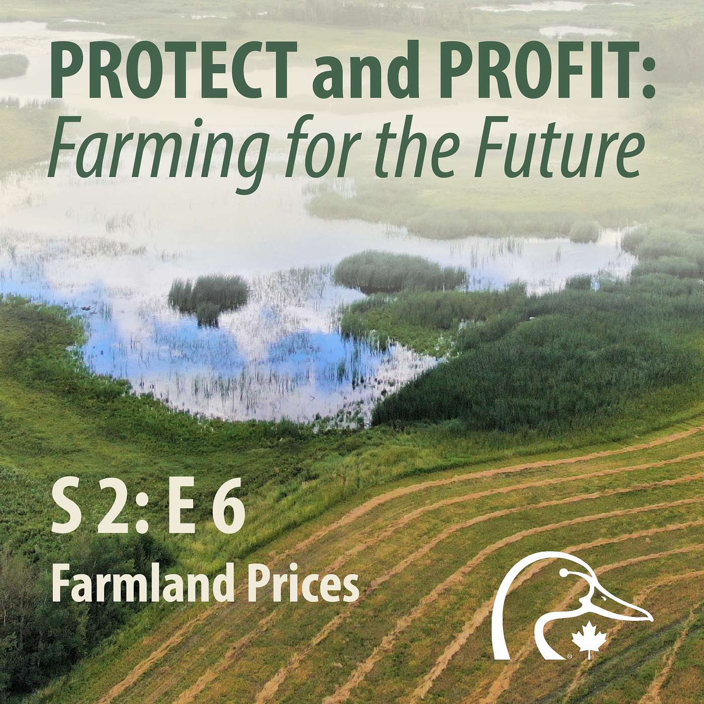 2025 10 October - Farmland Prices episode artwork