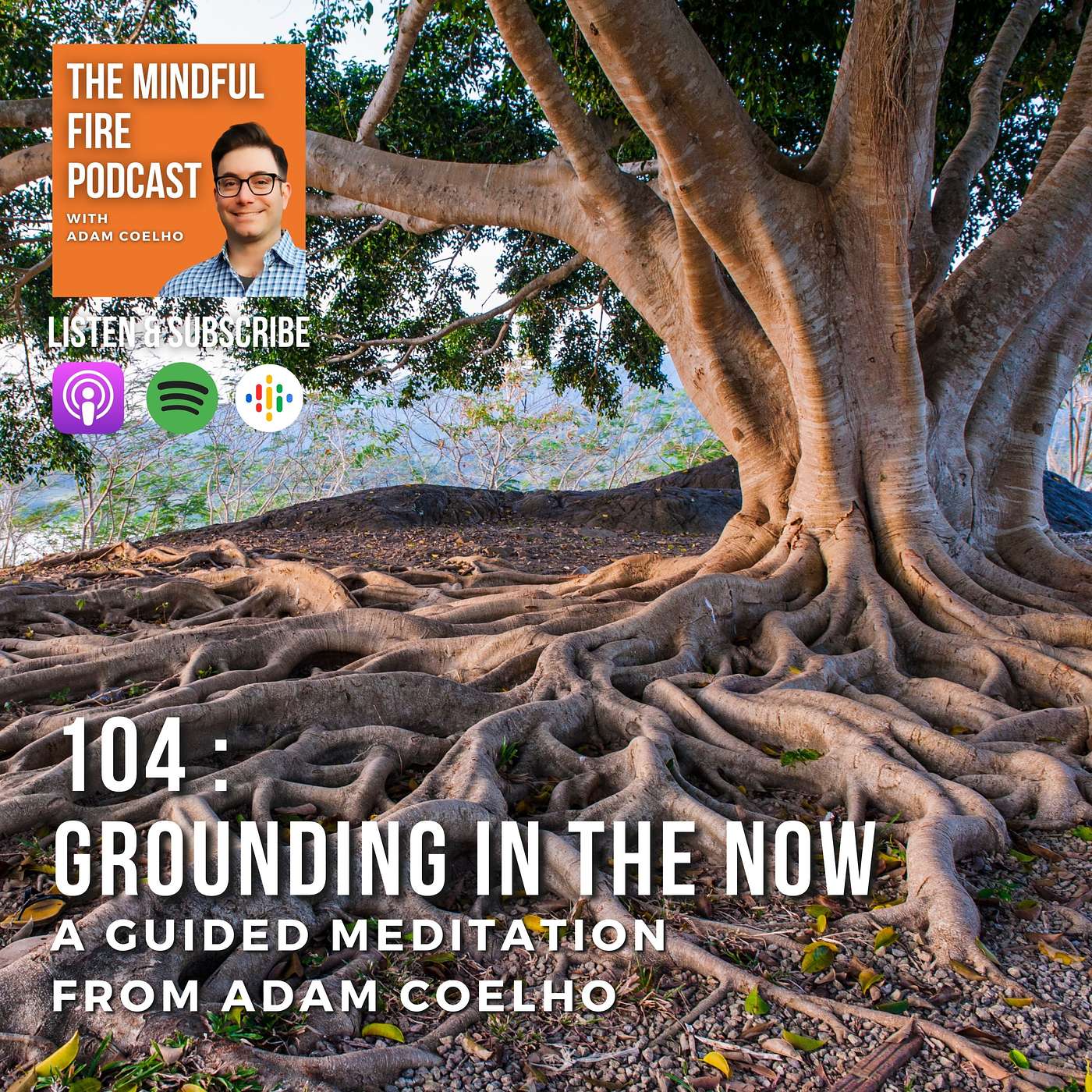 104 : Meditation : Grounding In The Now