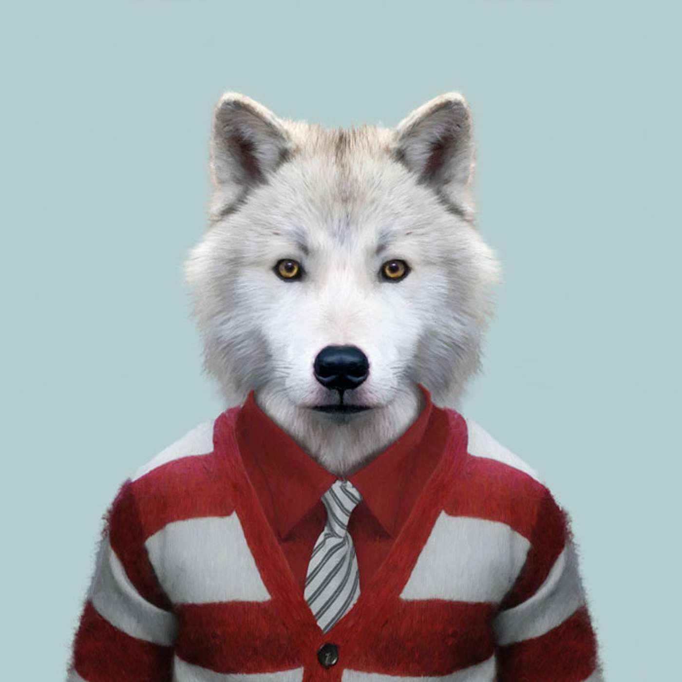 Episode 778 - Should Animals Wear Clothing?
