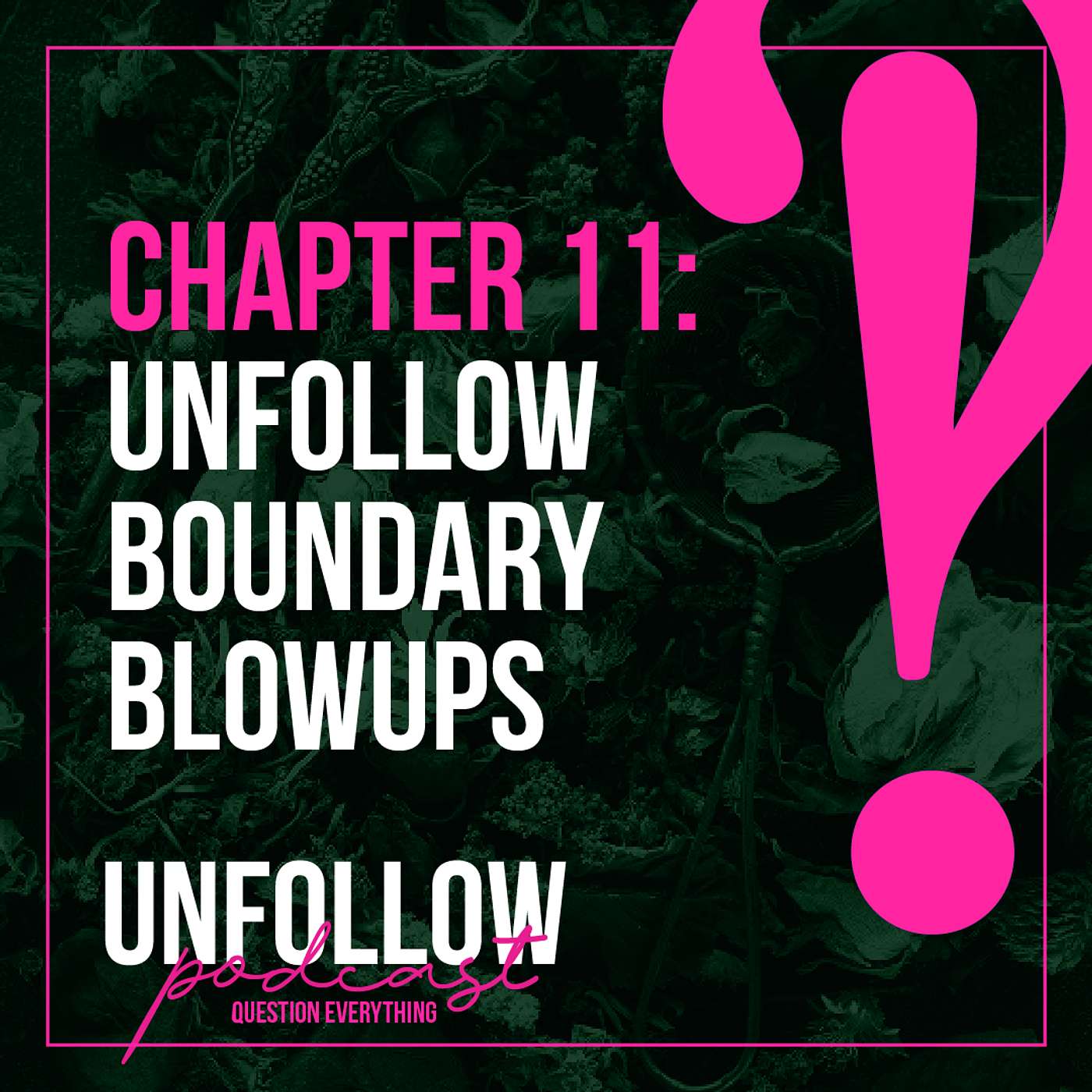 Season 17 Episode 13: UnFollow Boundary Blowups