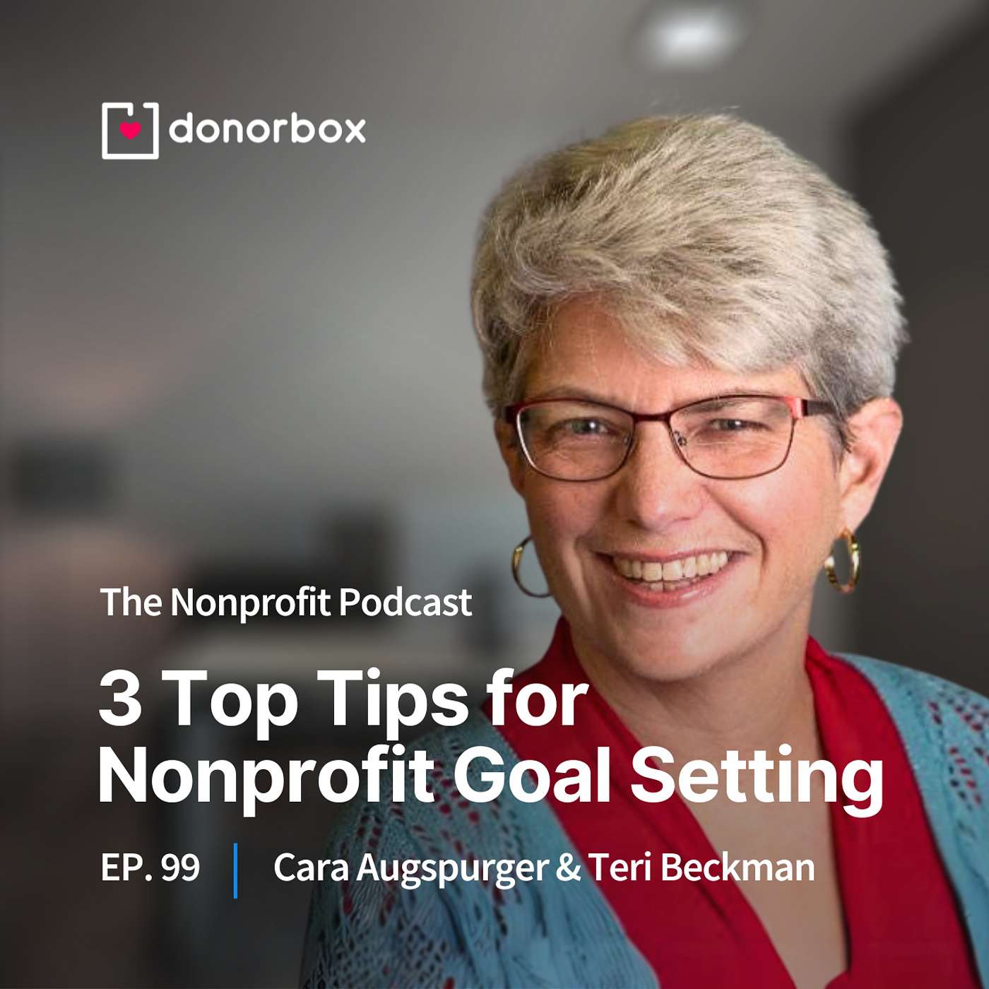 The Nonprofit Podcast