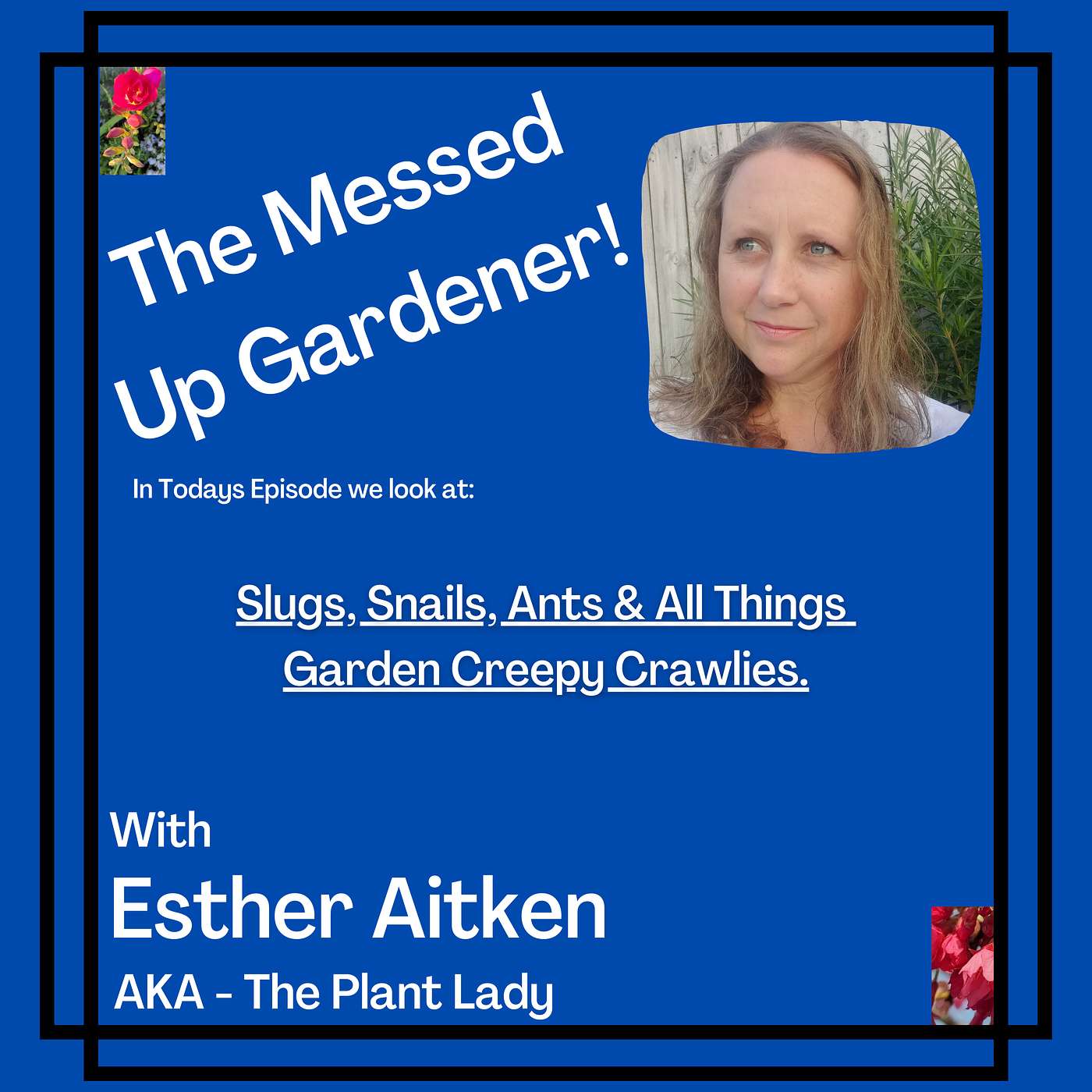 The Messed Up Gardener