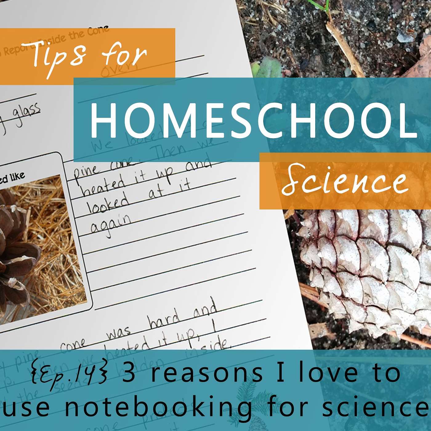 Ep 14 - 3 Reasons I love to use notebooking for science episode artwork