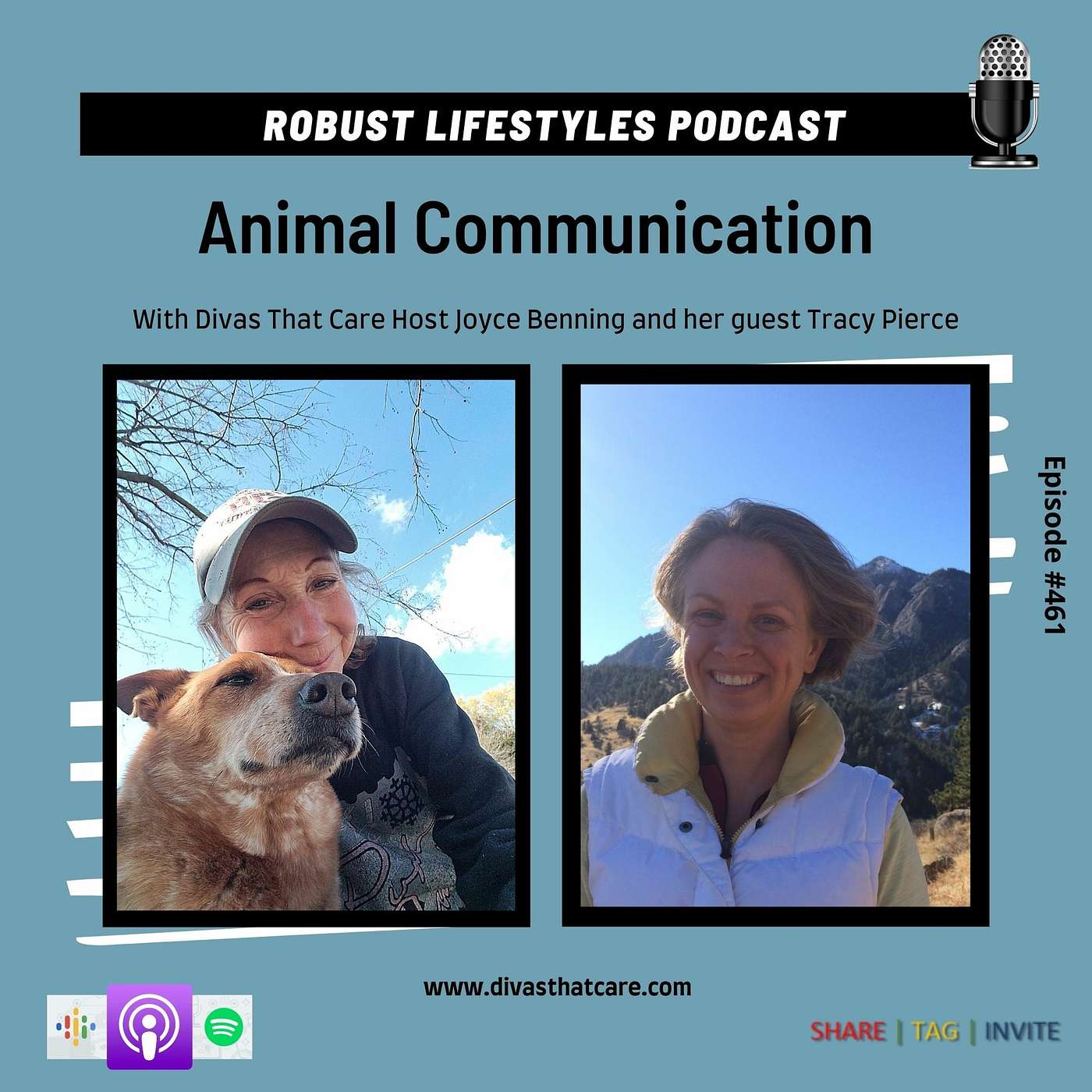 Animal Communication episode artwork