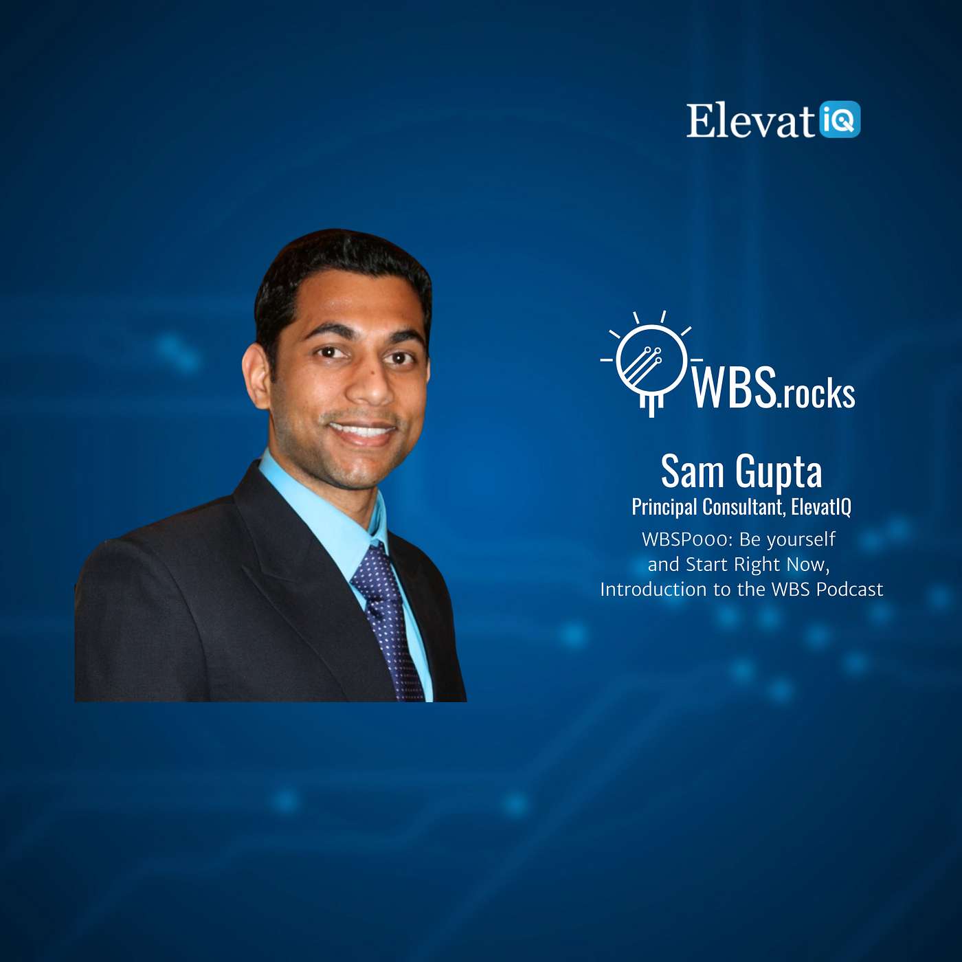 WBSRocks: Business Growth with Enterprise Software and Digital Transformation