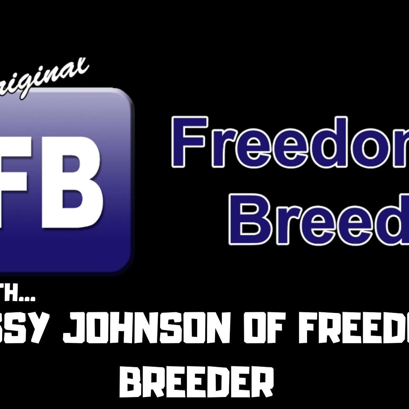 #40 JESSY JOHNSON OF FREEDOM BREEDER | BALL PYTHONS | SNAKE RACKS | TRAP TALK PODCAST
