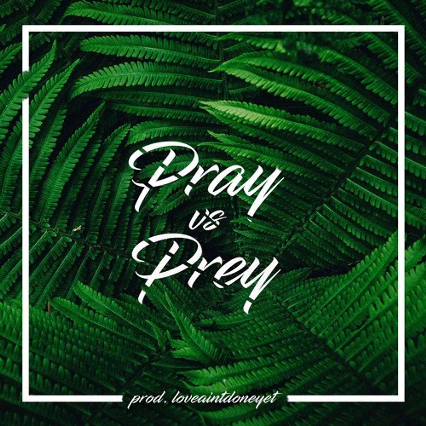 Pray vs. Prey - Tay Collier