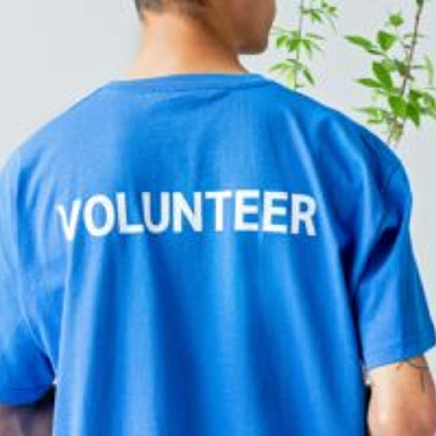 AARP Foundation Experience Corps Mesa Seeks Volunteers episode artwork