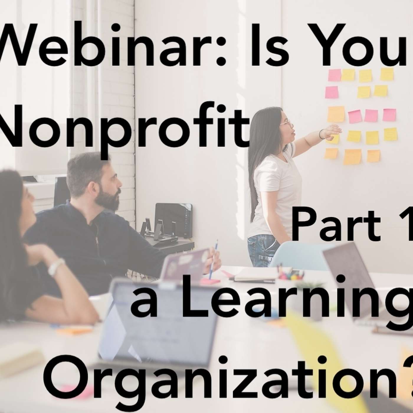 Is Your Nonprofit a Learning Organization? with Karen Graham pt 1