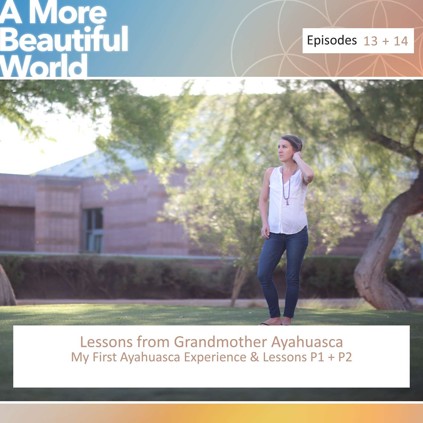 A More Beautiful World with Susyn Renee