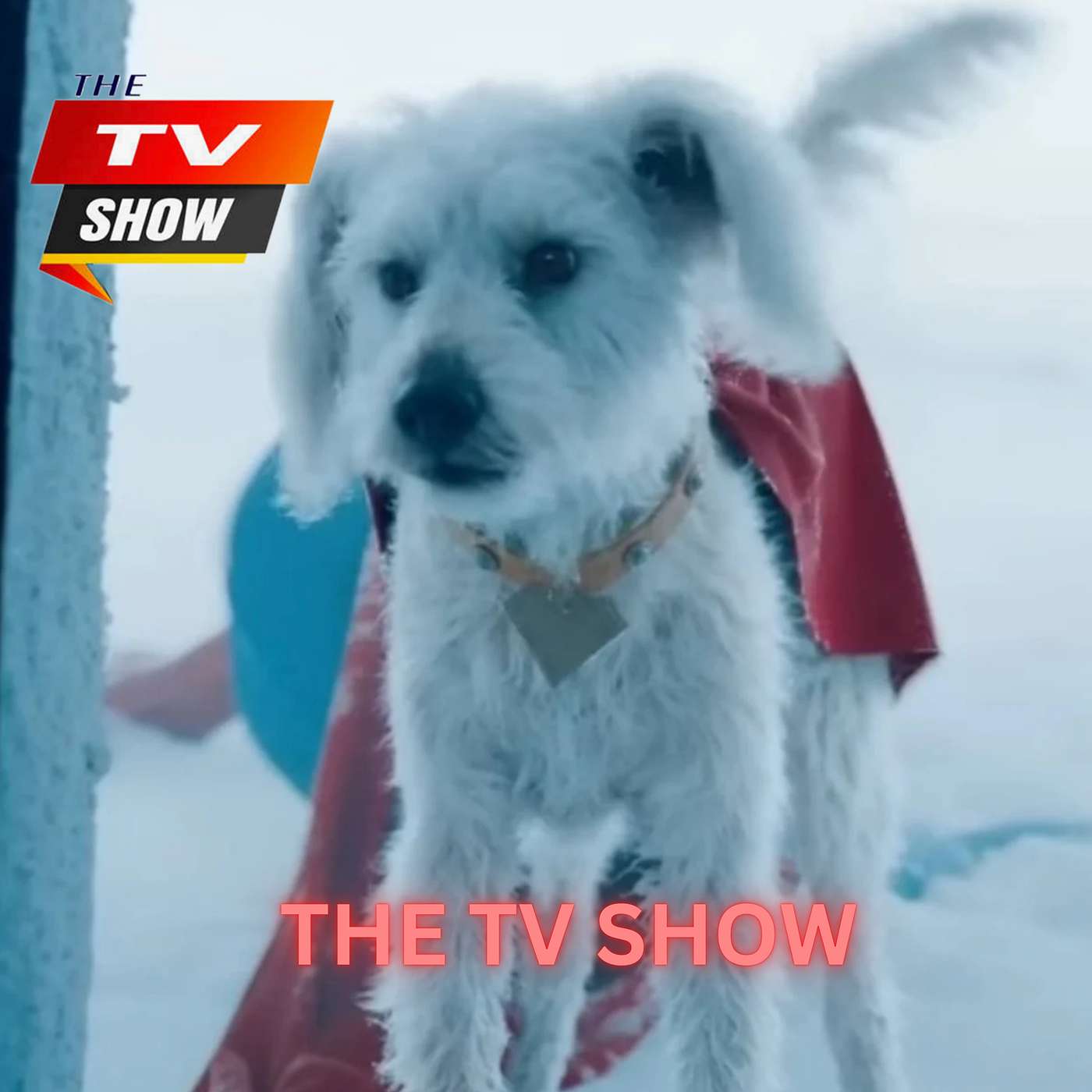 The TV Show
