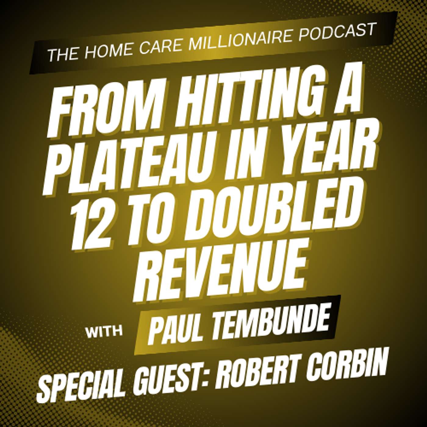 From Hitting a Plateau in Year 12th to Doubled Revenue episode artwork