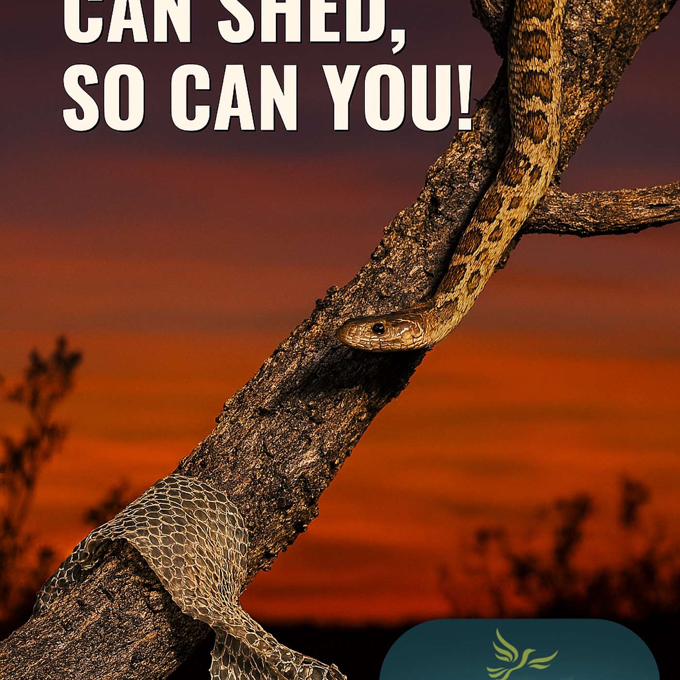 Traveling Preacher Man