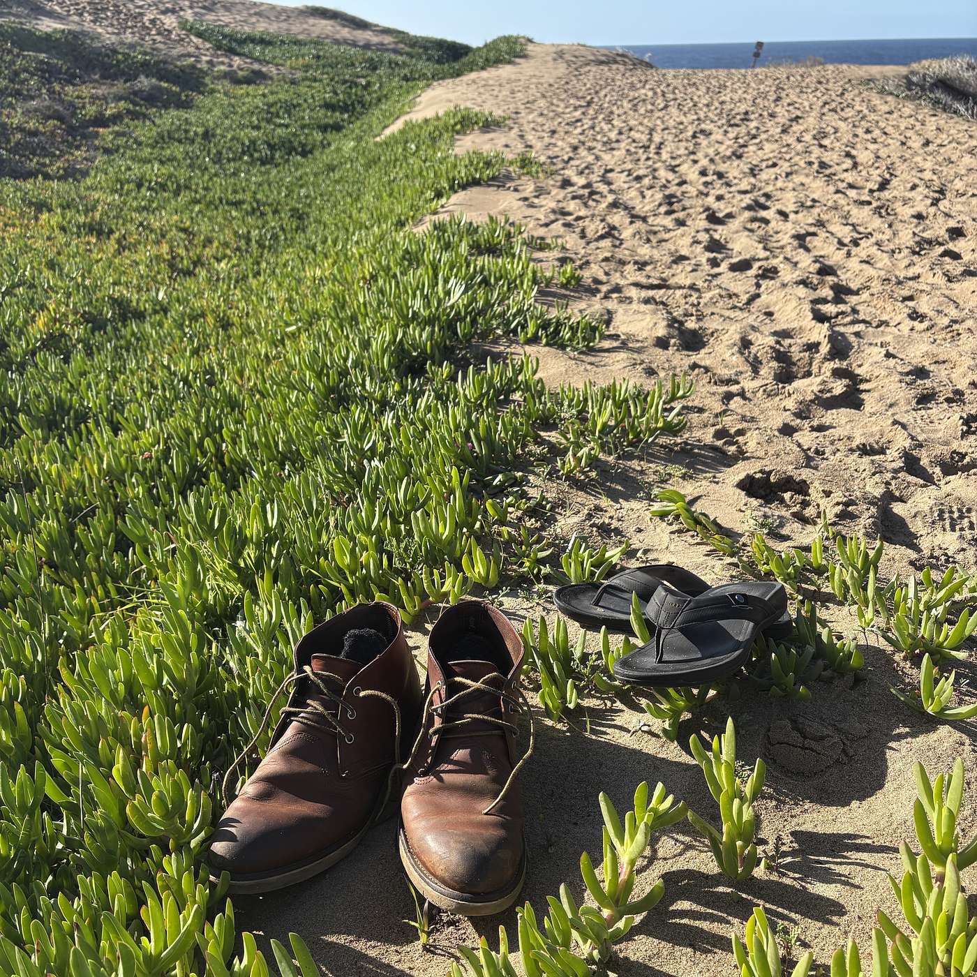 One Shoe One Story