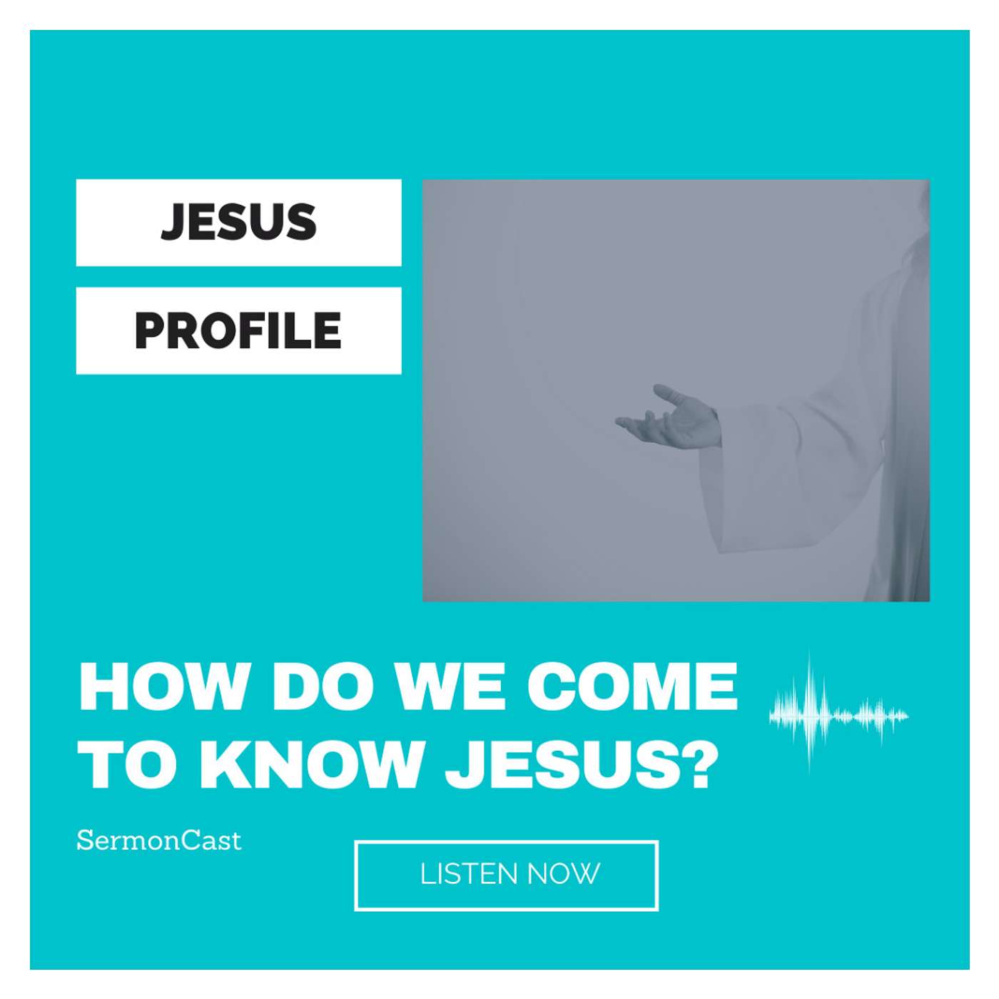 Jesus Profile - HOW DO WE COME TO KNOW JESUS?