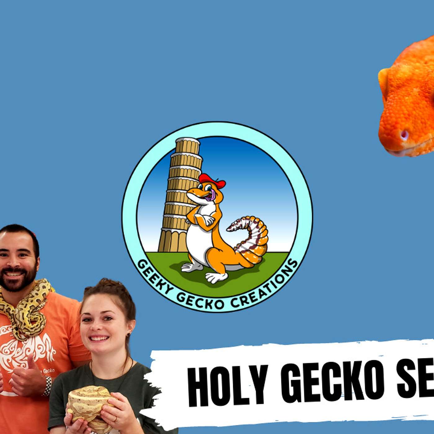 Is there big money breeding Leopard Geckos? | Geeky Gecko Creations