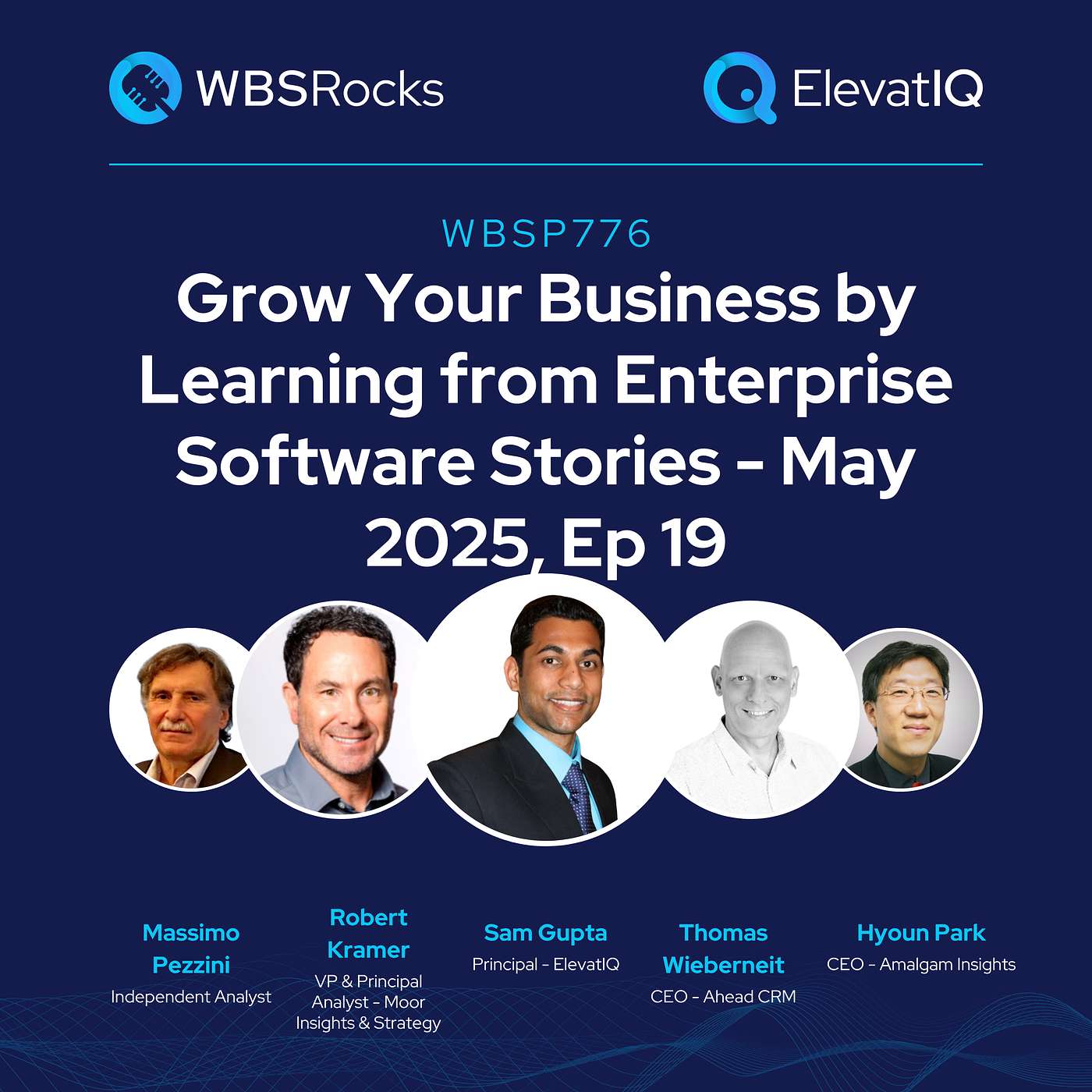 WBSP776: Grow Your Business by Learning from Enterprise Software Stories - May 2025, Ep 19, an Objective Panel Discussion