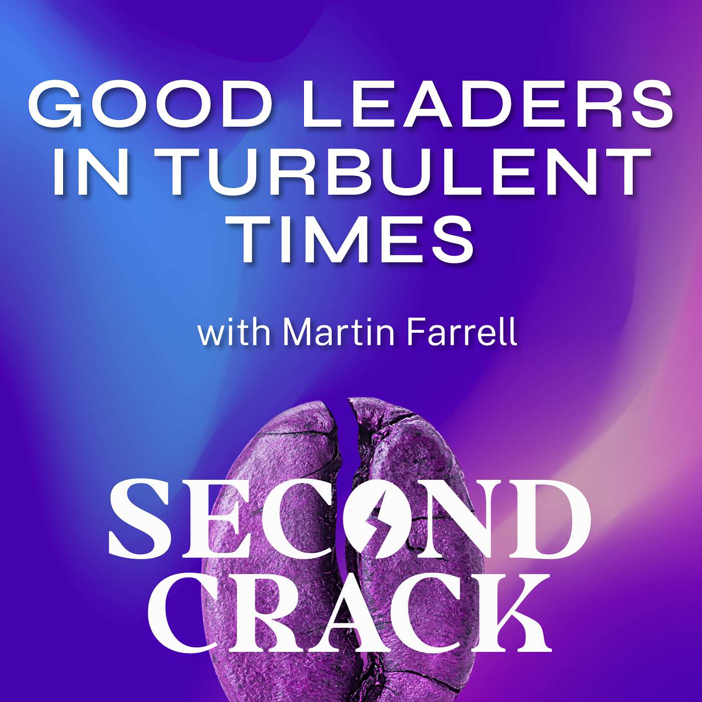Good Leaders in Turbulent Times − with Martin Farrell