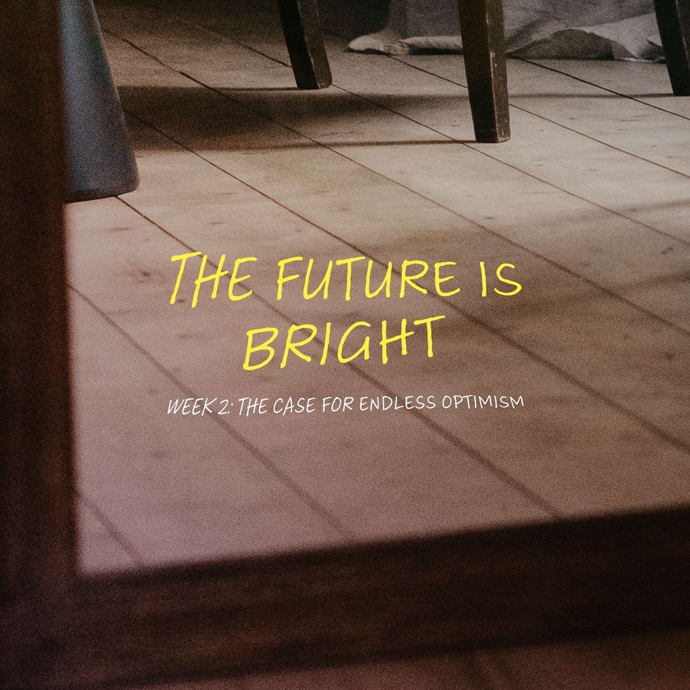 THE FUTURE IS BRIGHT | The Case for Endless Optimism
