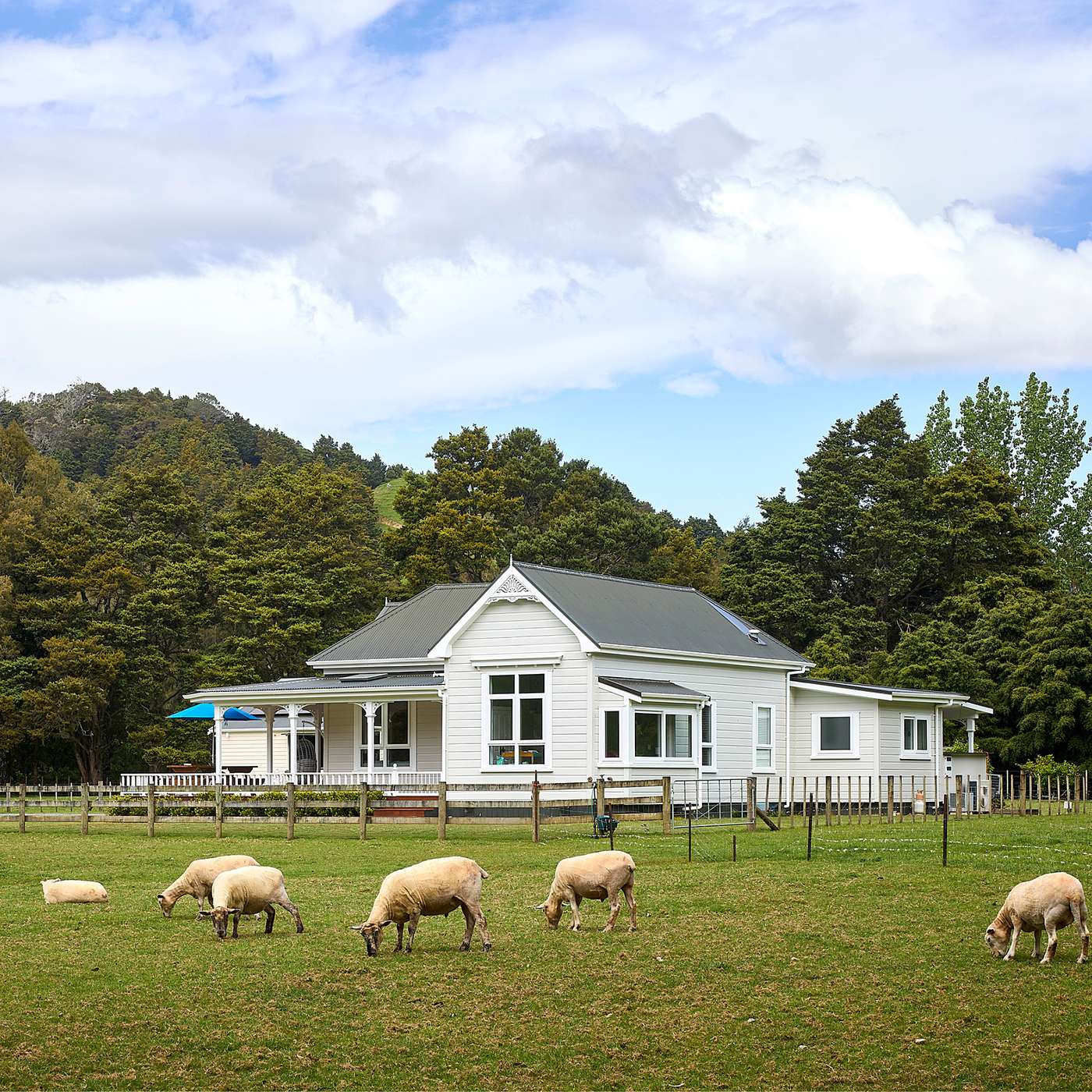Renovation: Heart and Soul in Whangarei