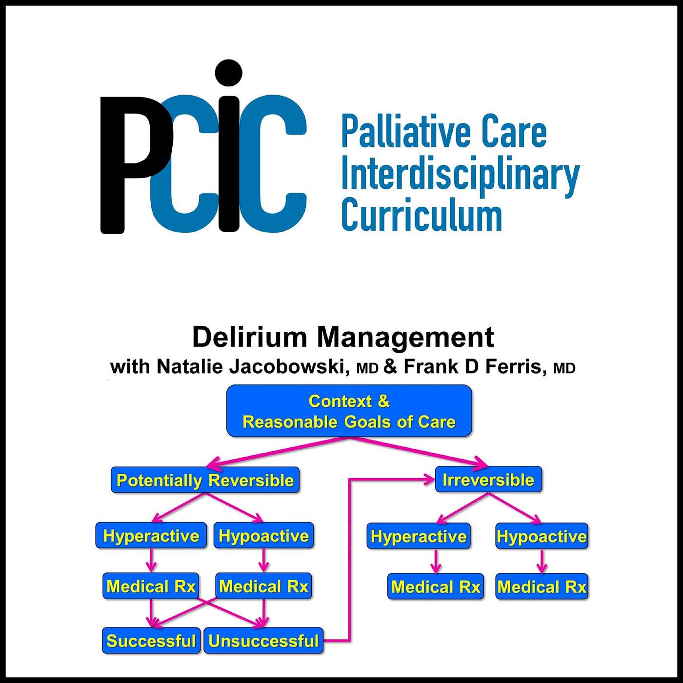 Palliative Care Interdisciplinary  Curriculum