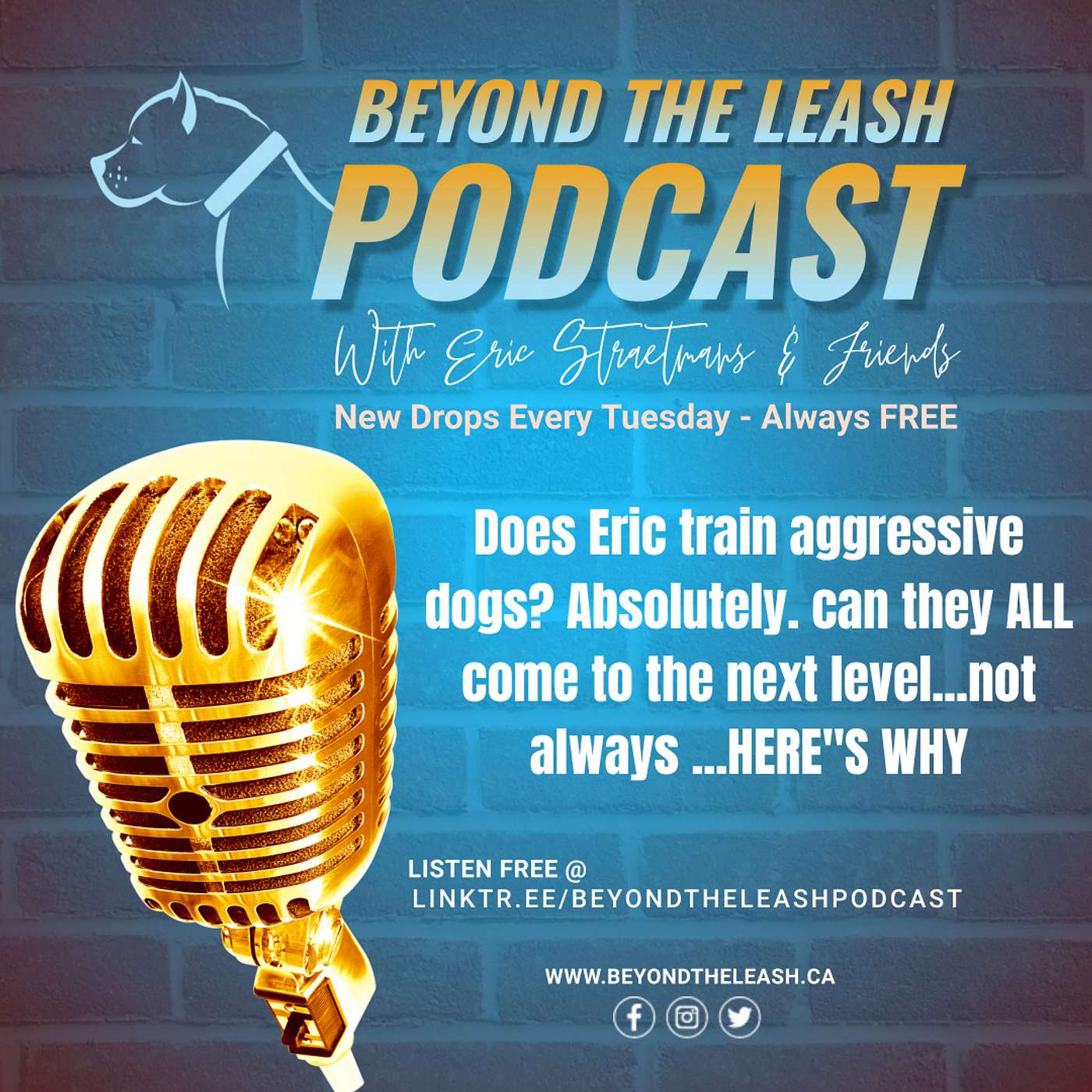 Beyond The Leash
