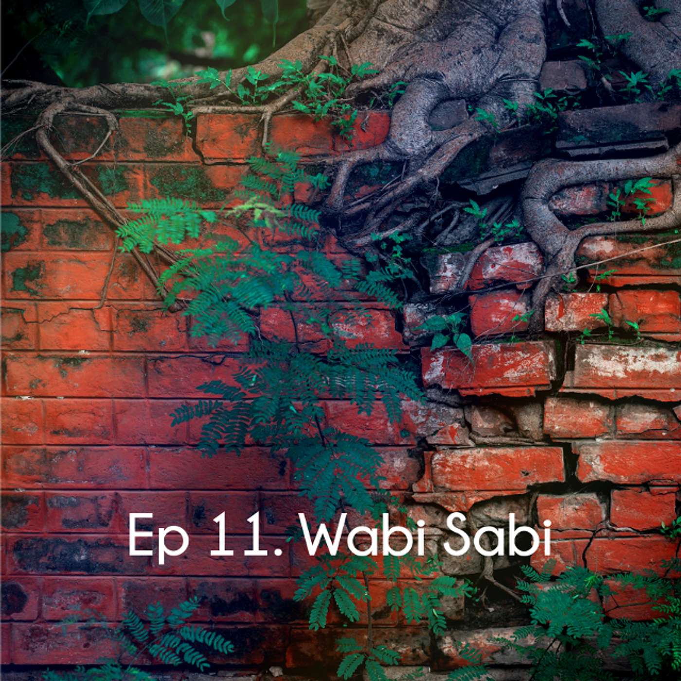 Ep 11. Wabi Sabi