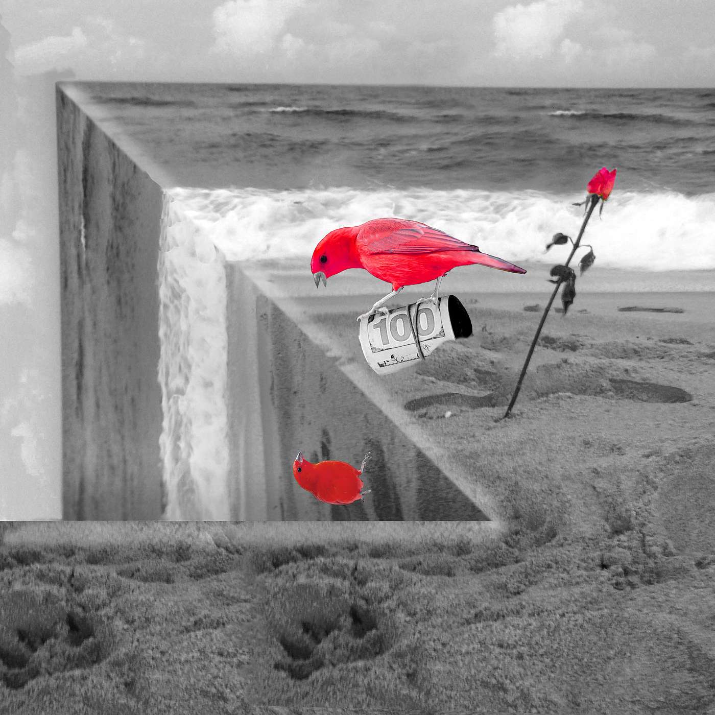 Episode 108:  Sing Like a Canary